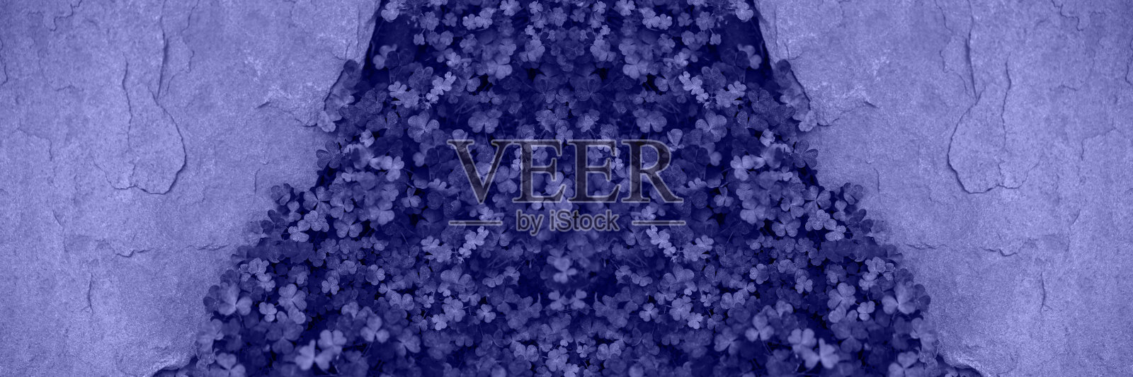 纹理石材背景与三叶草颜色的2022年。照片摄影图片