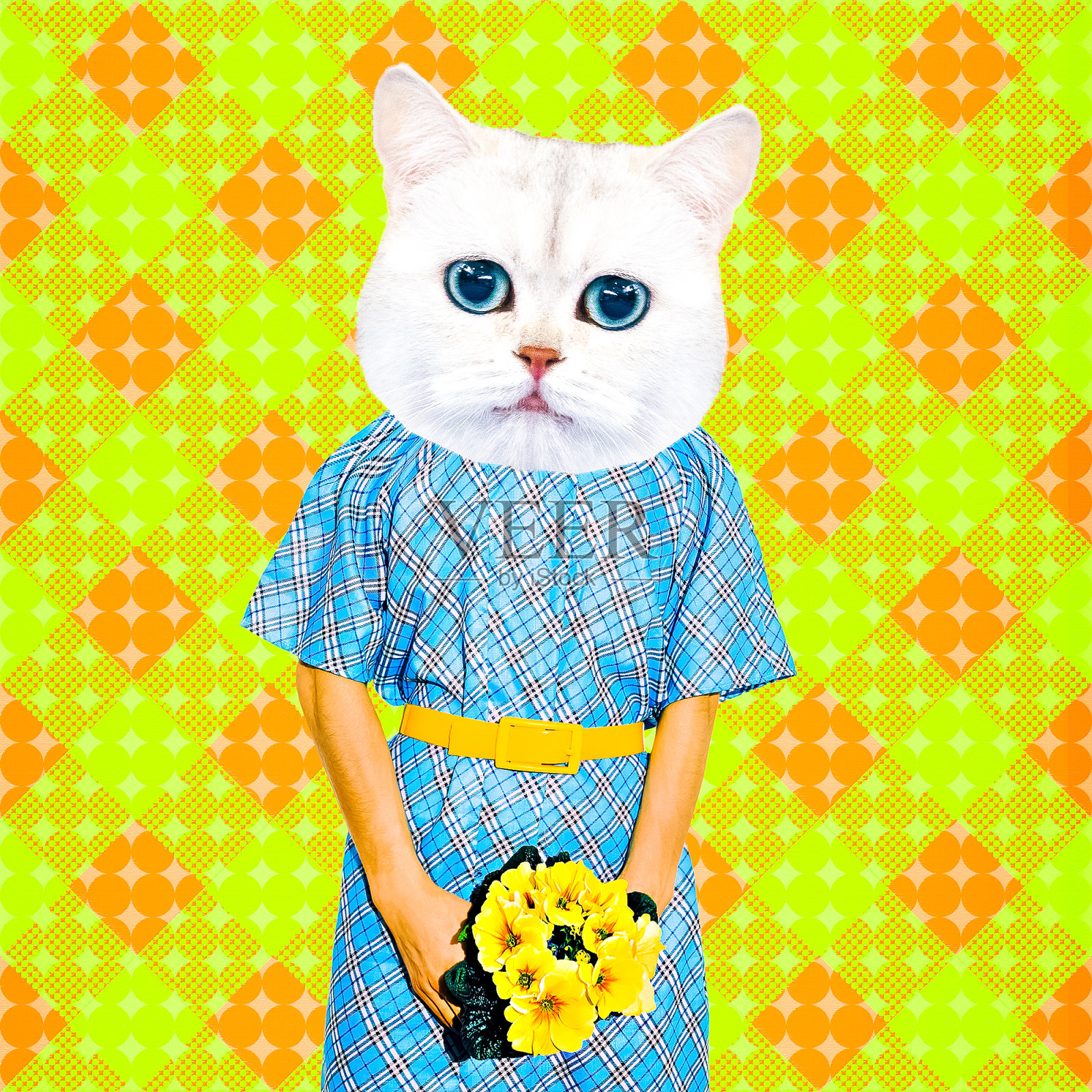 当代艺术拼贴。有趣的电子杂志的设计。害羞可爱的小猫带着花。礼物，国际妇女节，母亲节的概念照片摄影图片