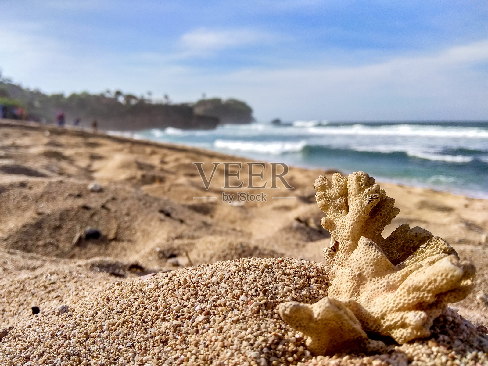 珊瑚礁照片摄影图片