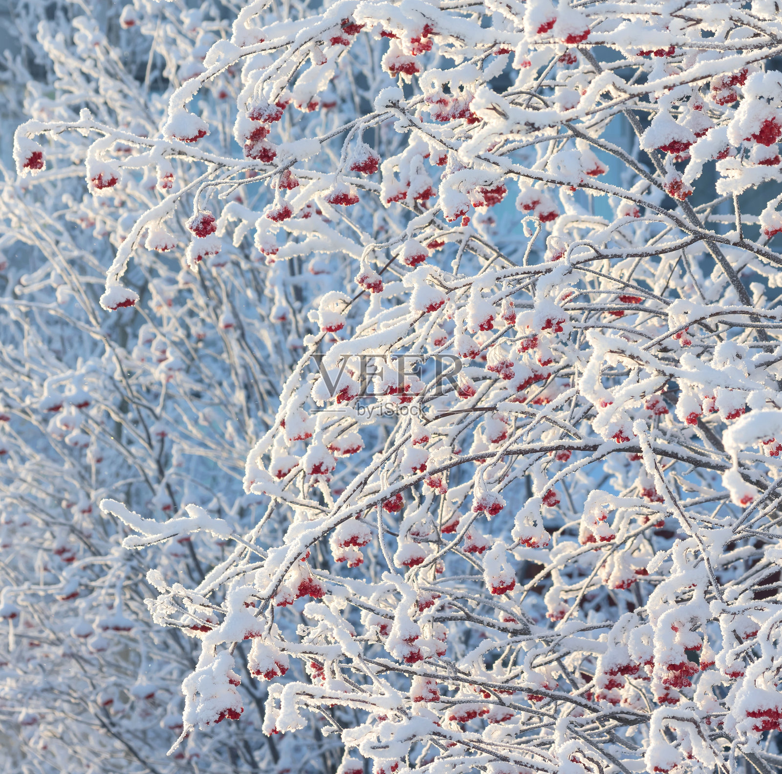 冬天的风景照片摄影图片