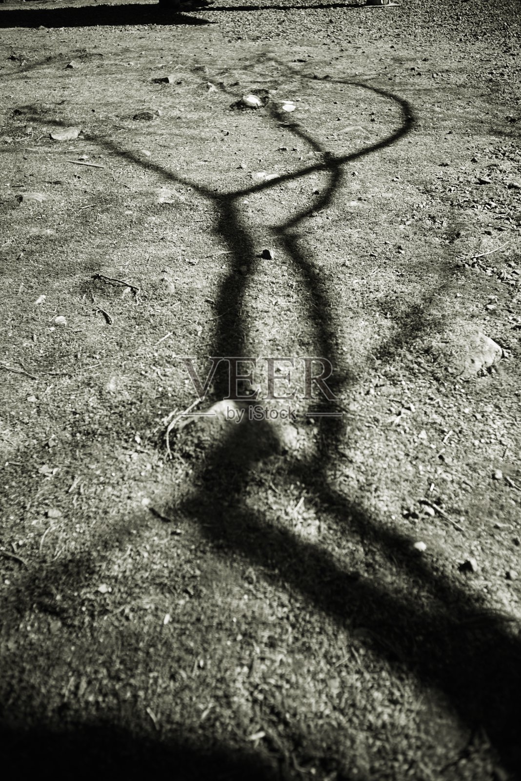 国海照片摄影图片