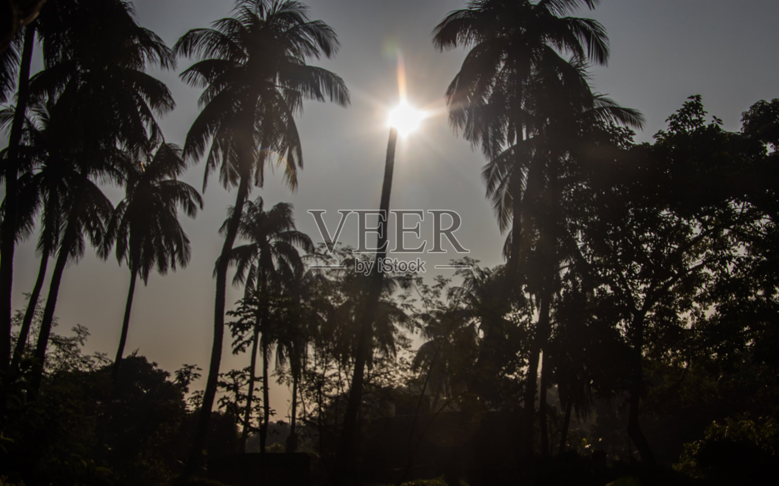 关于结婚圣诞节的精神意象。我在11月30日拍摄了这张照片。2021年，在南亚孟加拉国的Narayangonj照片摄影图片