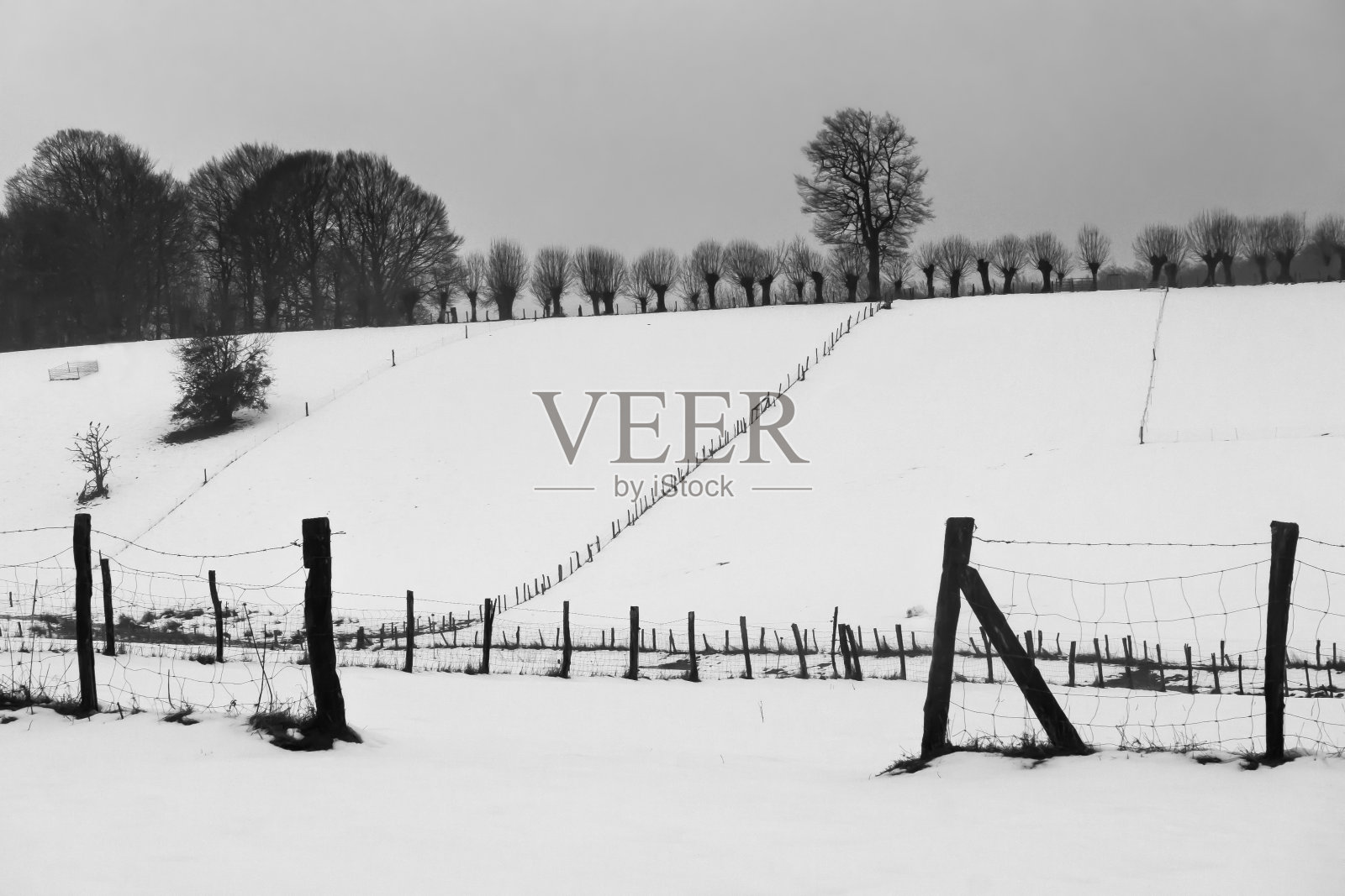 雪的草地照片摄影图片