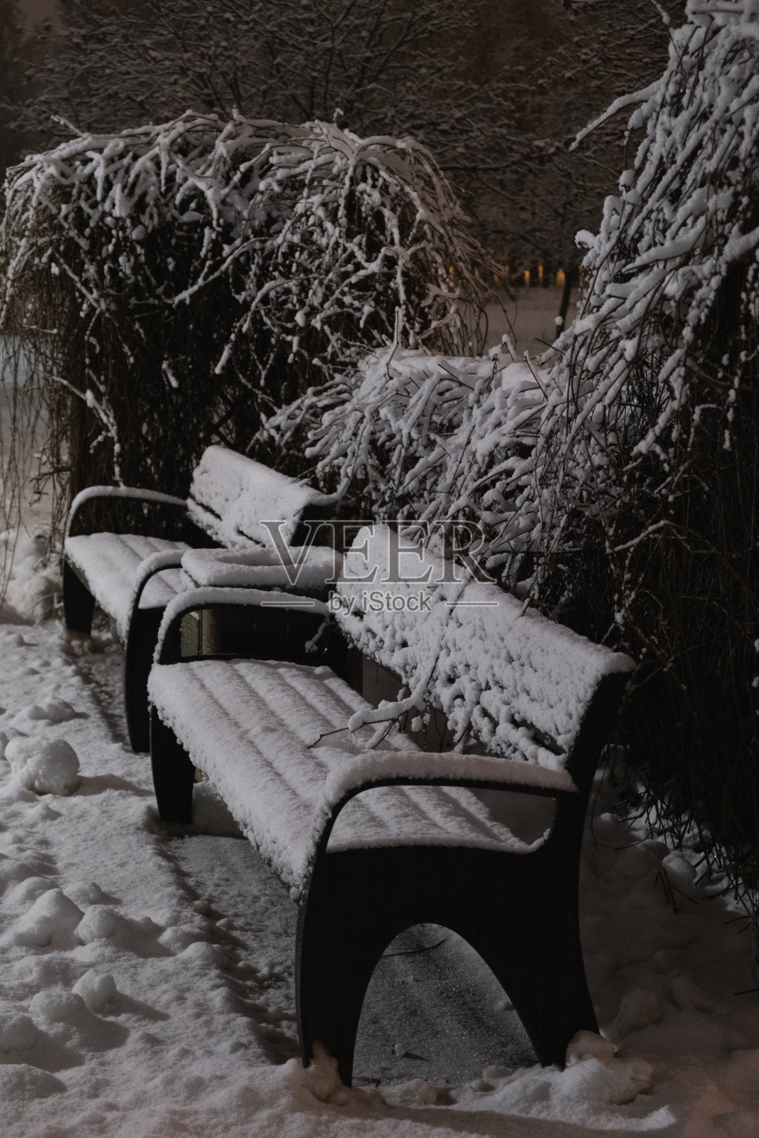 寒冷的一天。真正的冬天和降雪照片摄影图片