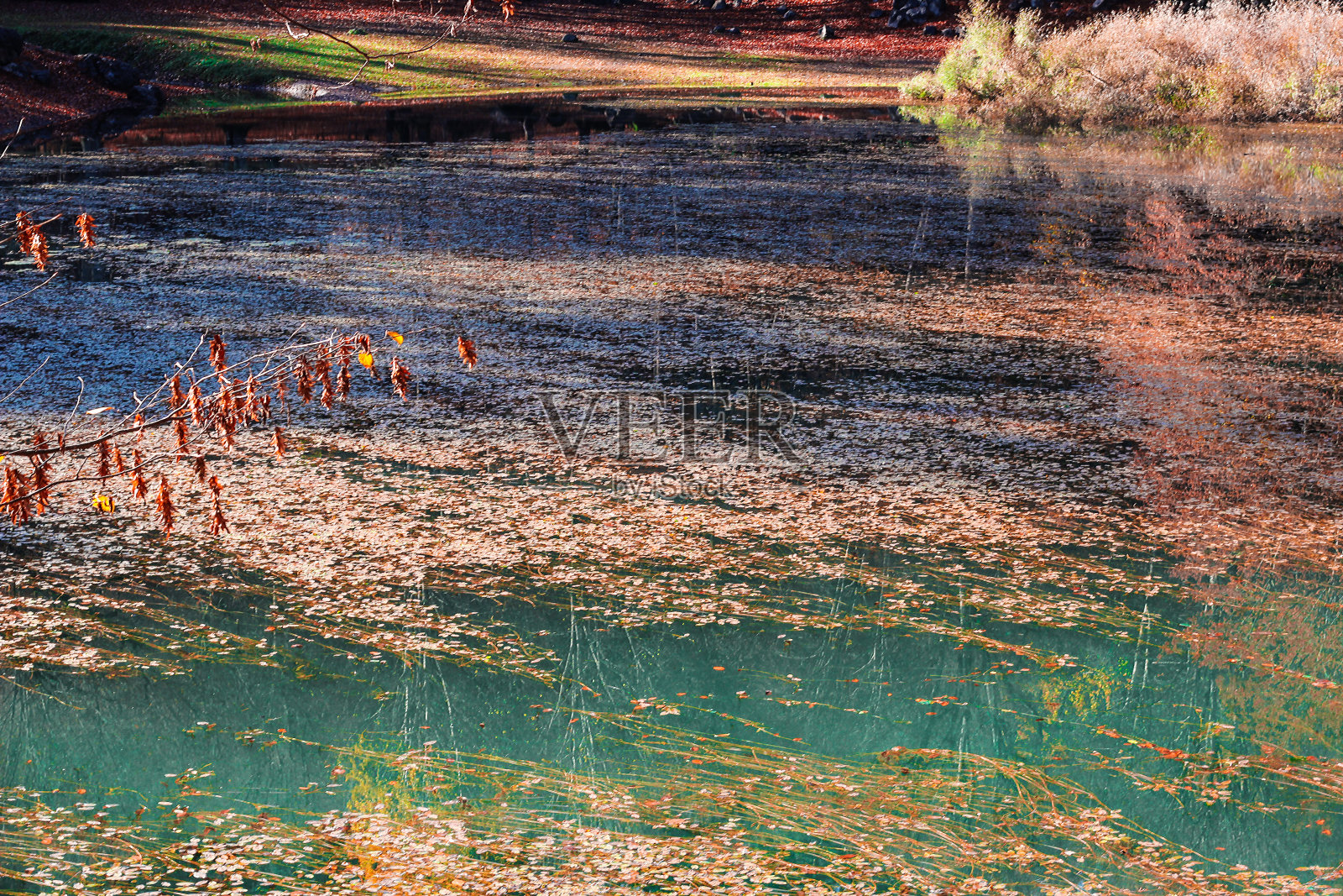 秋天的秋叶倒映在湖面上。森林映在湖面上。土耳其博卢的迷你公园。风景秋冬两季的风景。秋天的背景。照片摄影图片