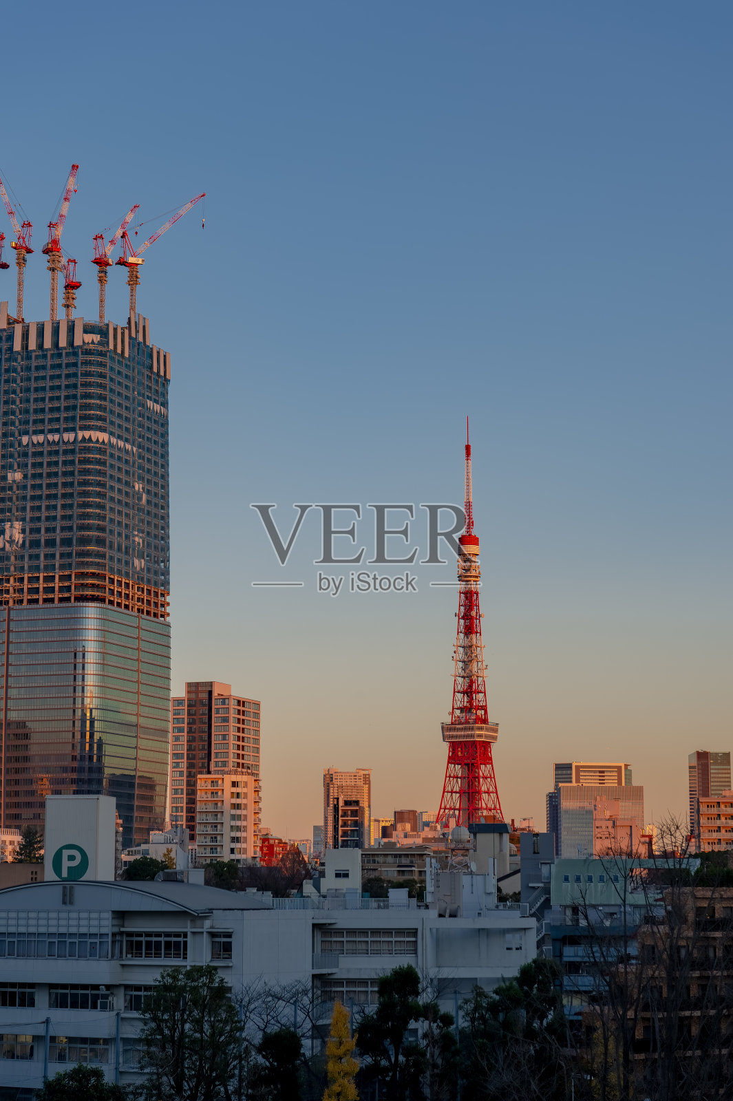 东京的夜景，从六本木，港区，东京。照片摄影图片