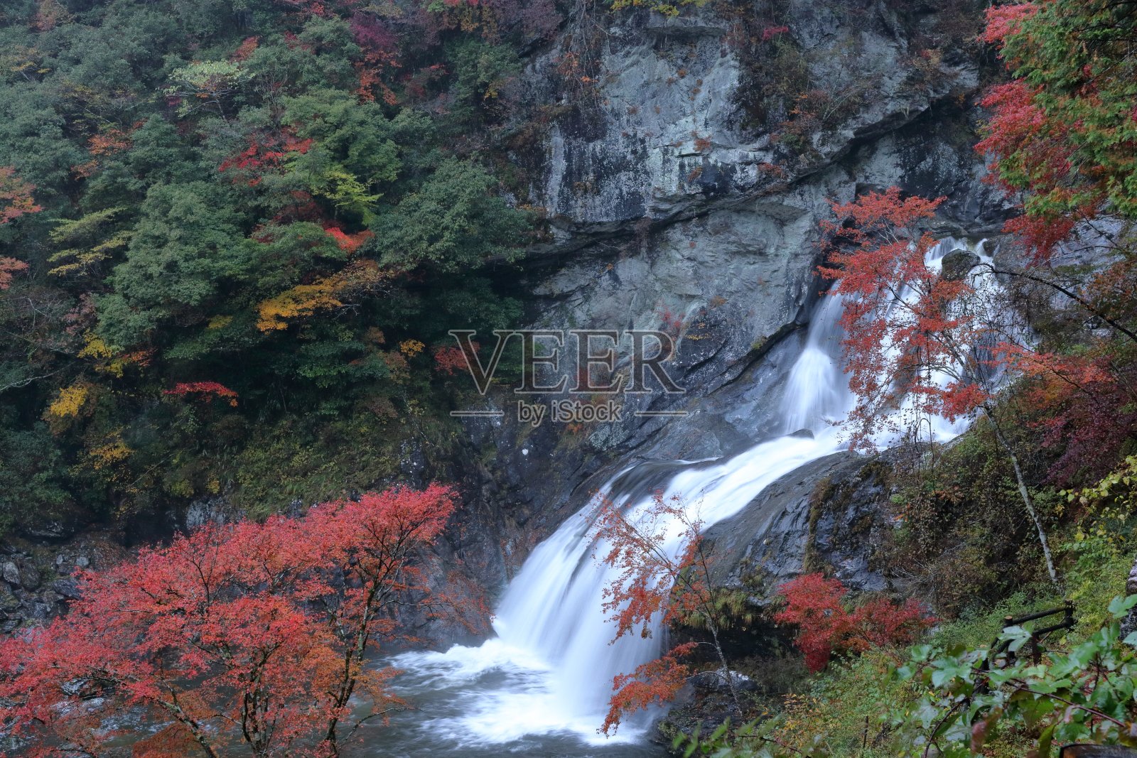 国有瀑布，秋天(Setogawa Valley, Tosa镇，Kochi县)照片摄影图片