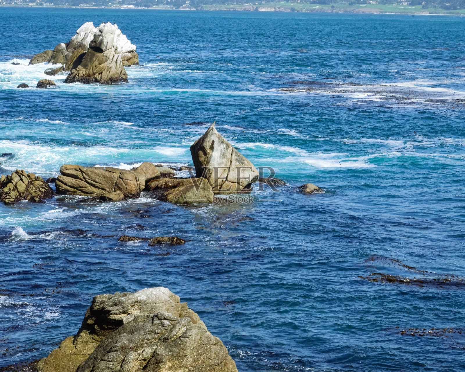 在卡梅尔海边的狼点国家海洋保护区，美丽的一天照片摄影图片