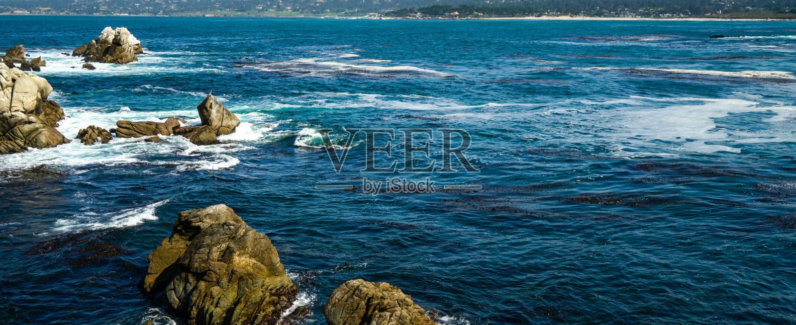 在加利福尼亚州卡梅尔海边的狼点国家海洋保护区照片摄影图片