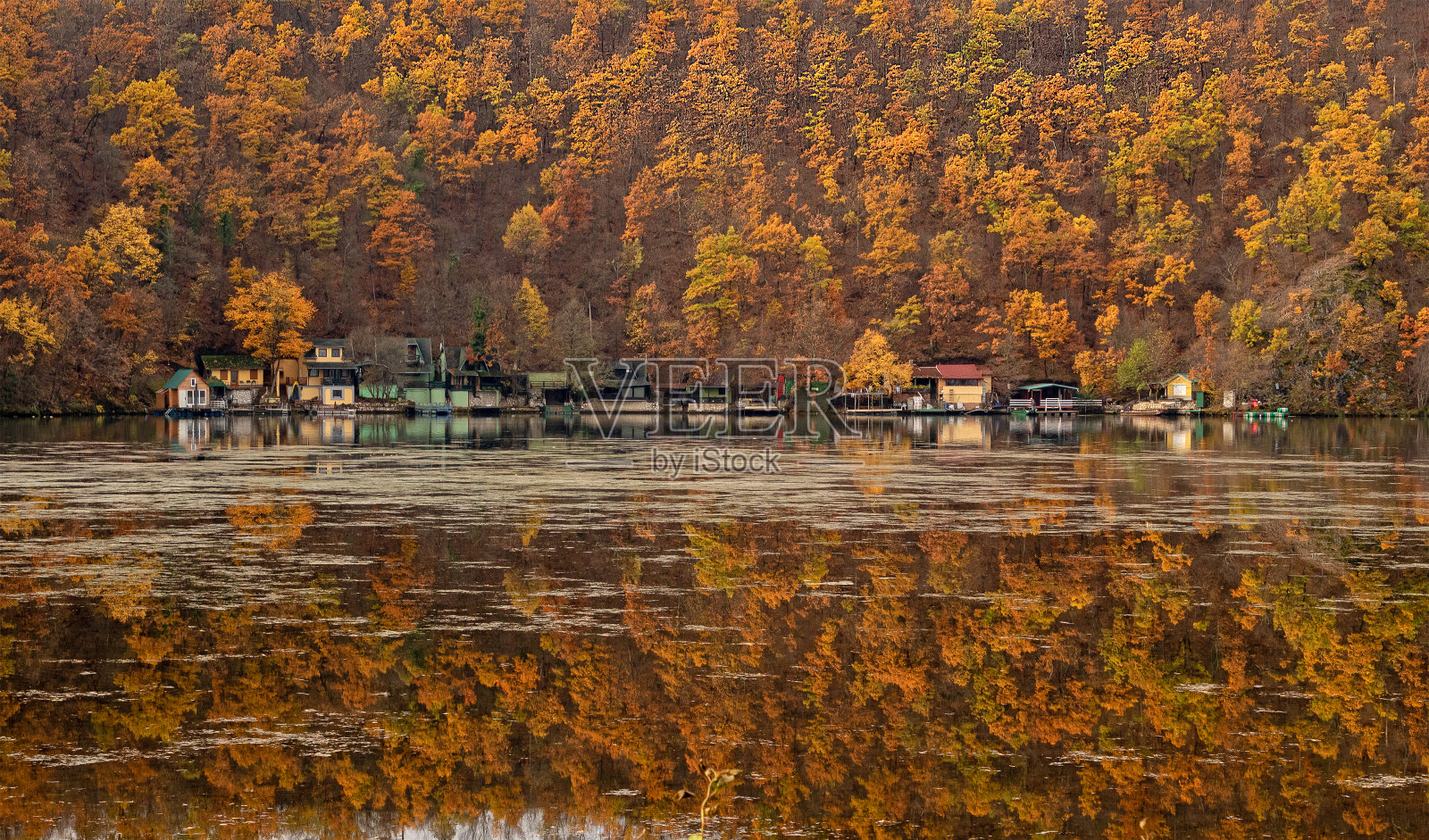 湖边的房屋照片摄影图片