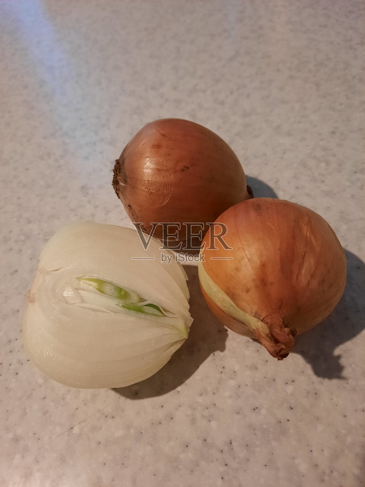 洋葱照片摄影图片