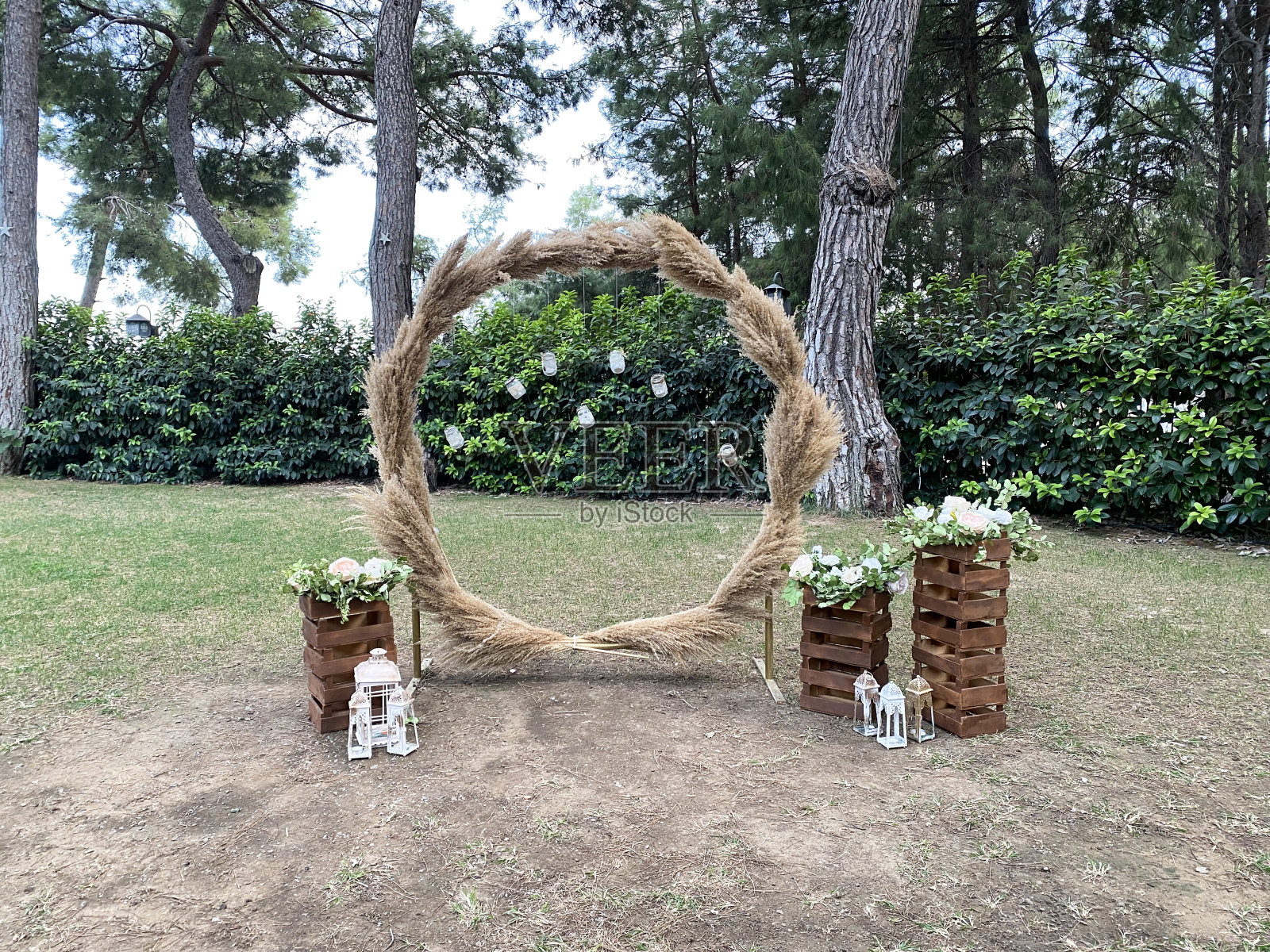 森林里的结婚标签。照片摄影图片