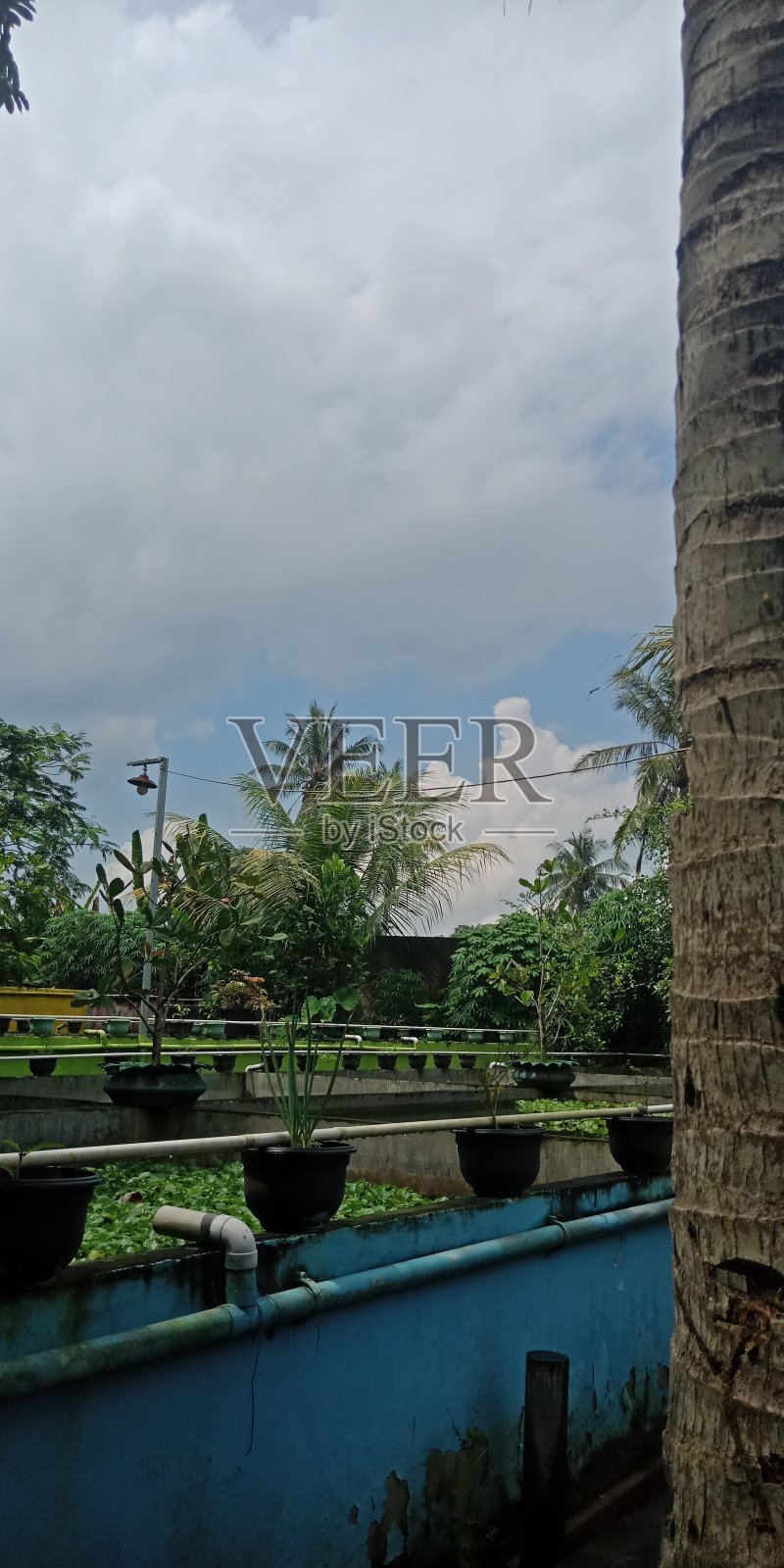 治疗鱼池照片摄影图片