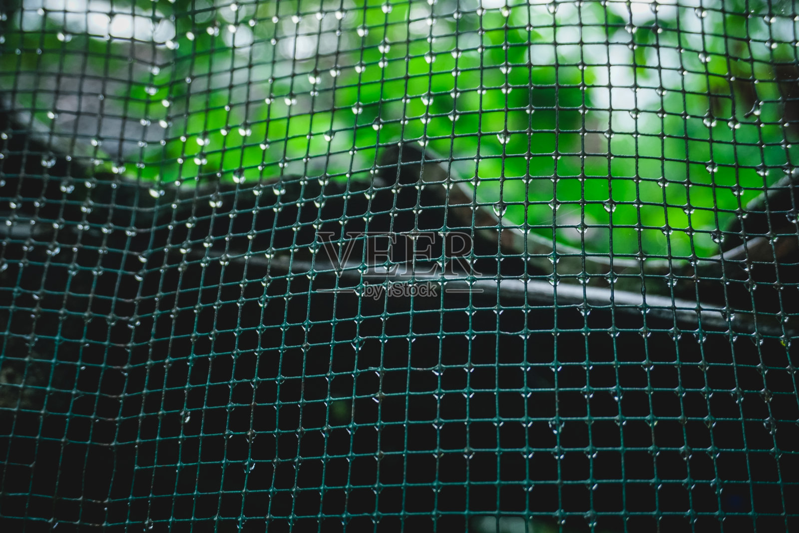 在自然背景上用雨滴进行裁剪照片摄影图片