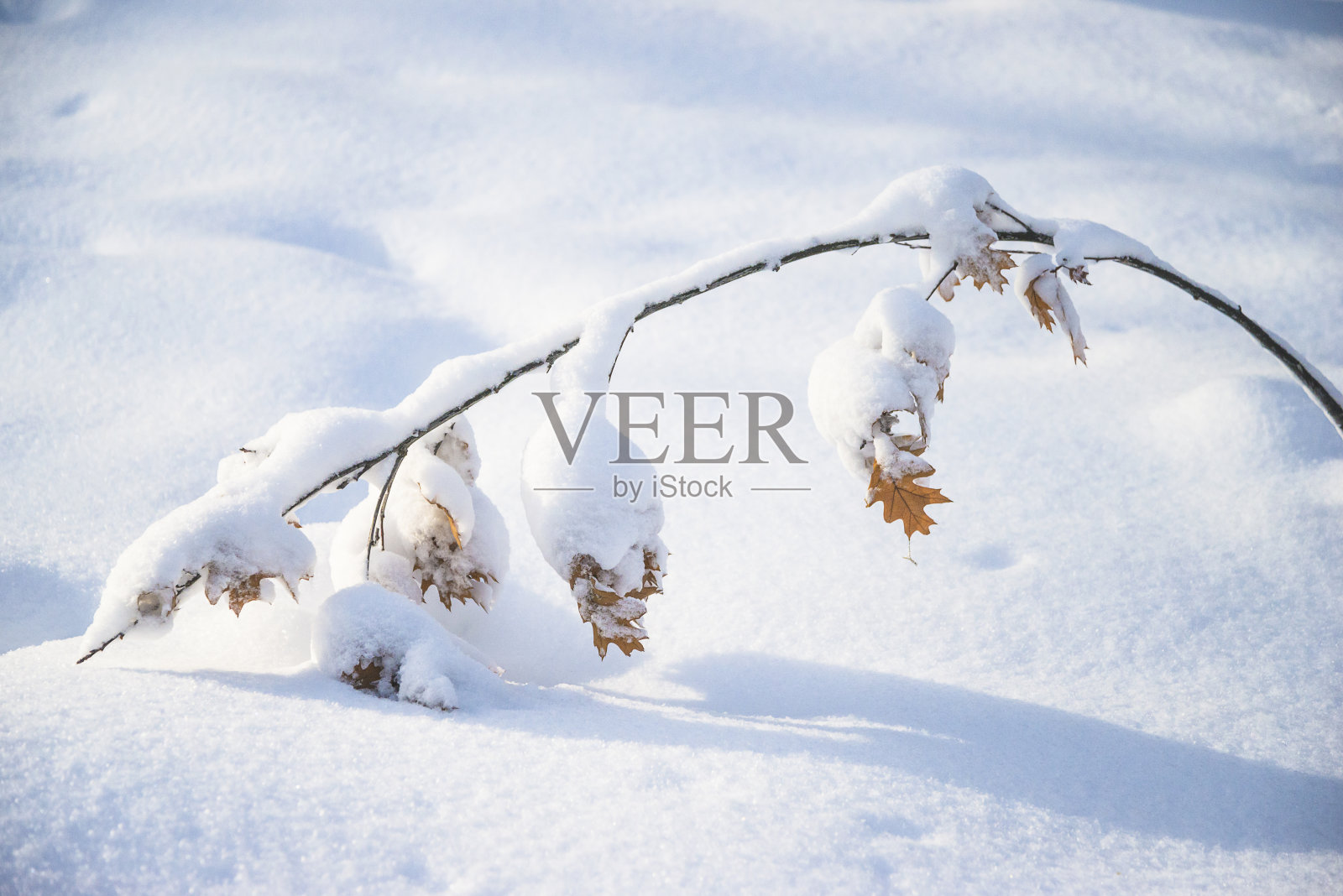 美丽的冬天的风景;照片摄影图片
