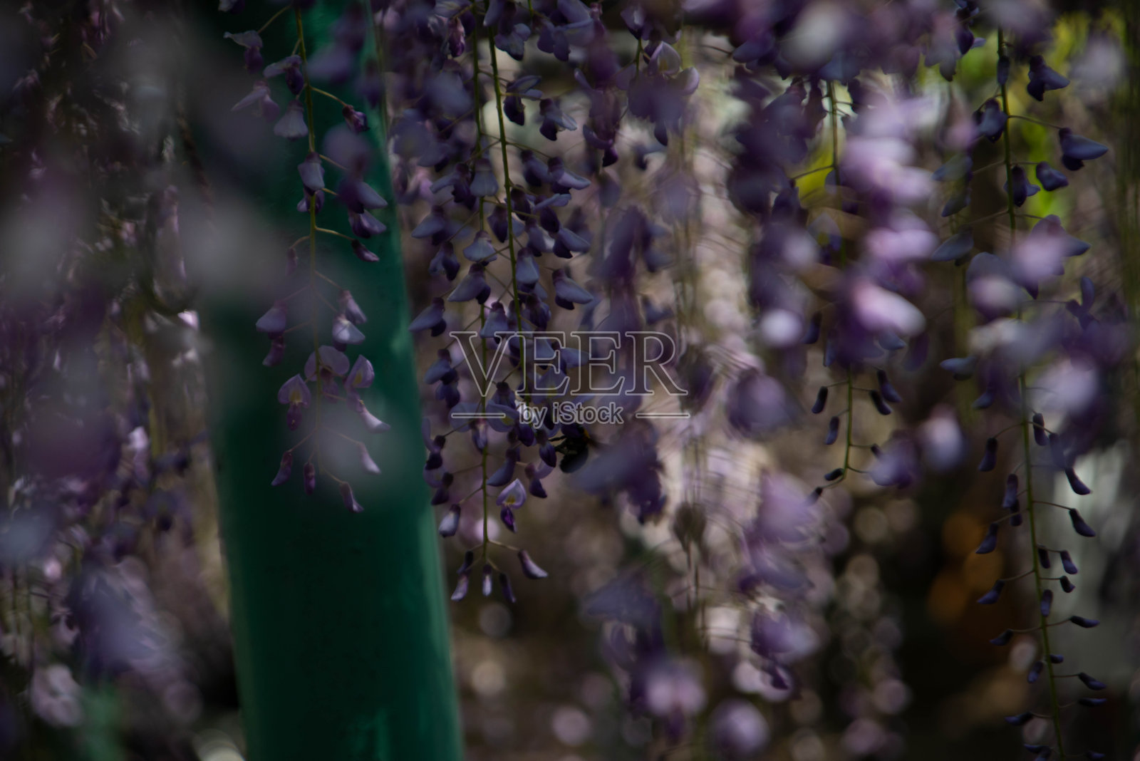 大分县的旅游景点照片摄影图片