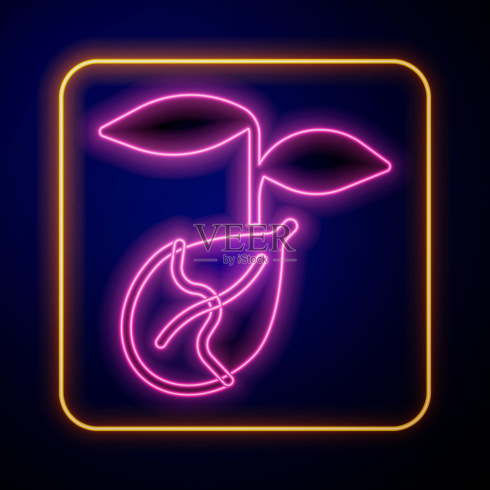 发光的霓虹灯发芽图标孤立在黑色背景。种子和幼苗。叶子的迹象。叶自然。向量插画图片素材