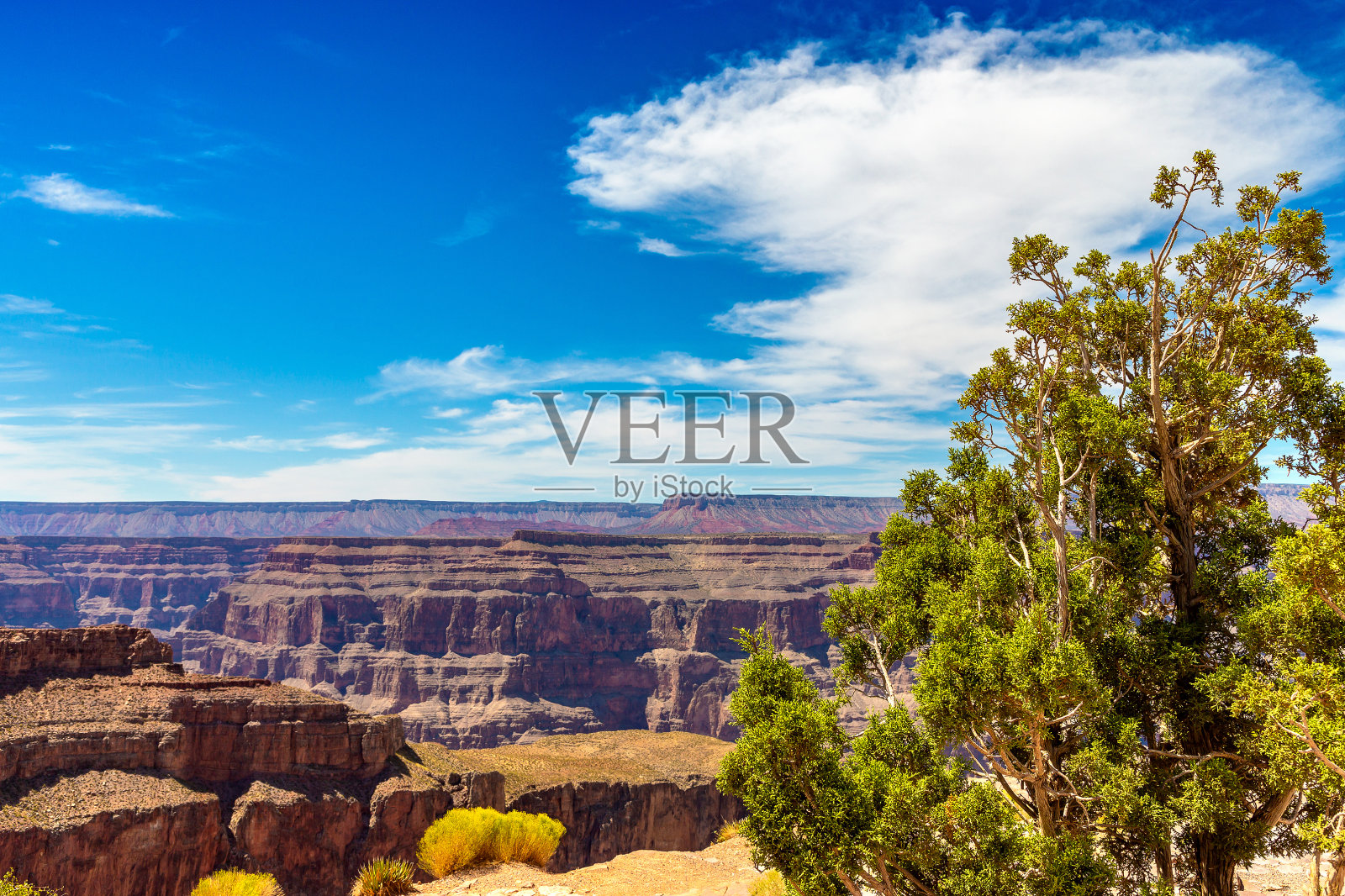 大峡谷西缘照片摄影图片