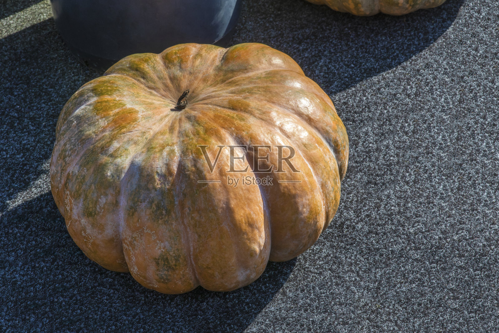 灰色地毯上的麝香南瓜。照片摄影图片