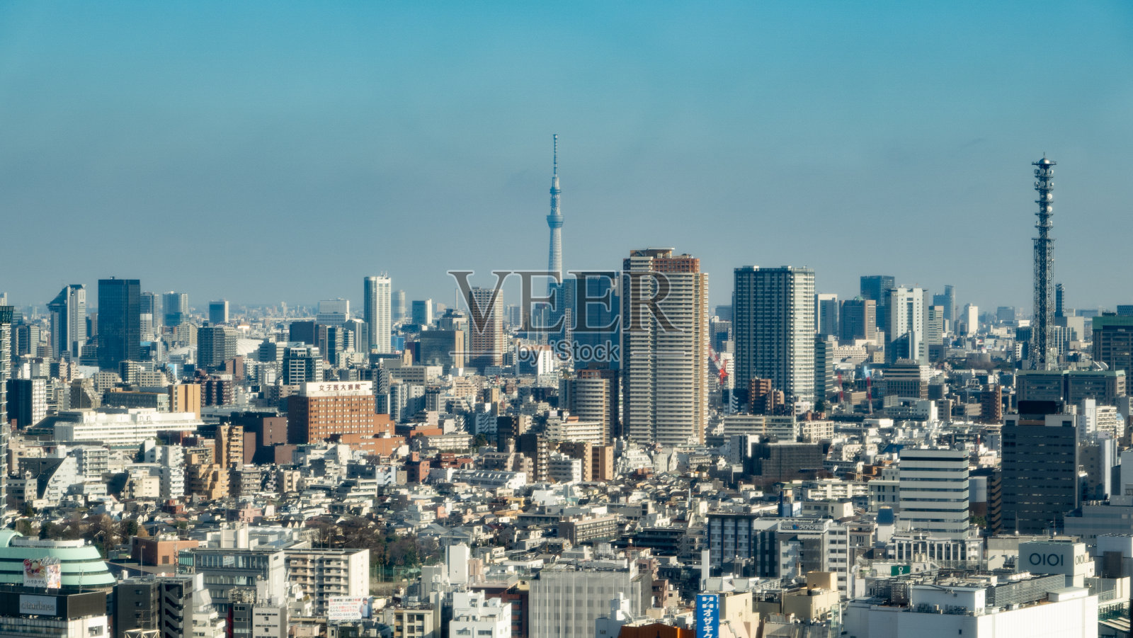 东京的城市照片摄影图片