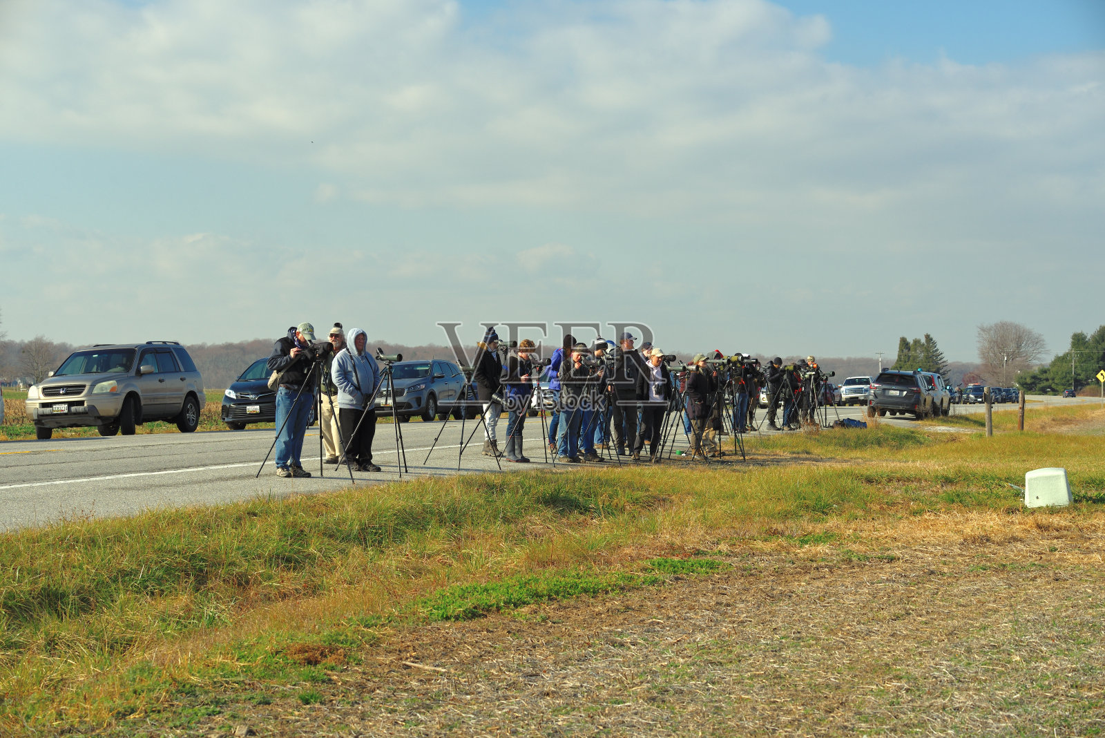 观鸟者珍禽聚会照片摄影图片