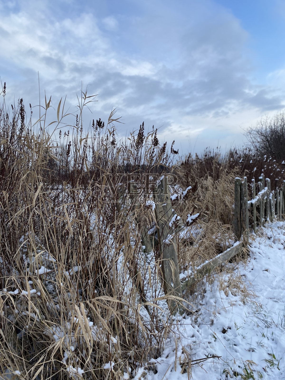 和平的12月照片摄影图片