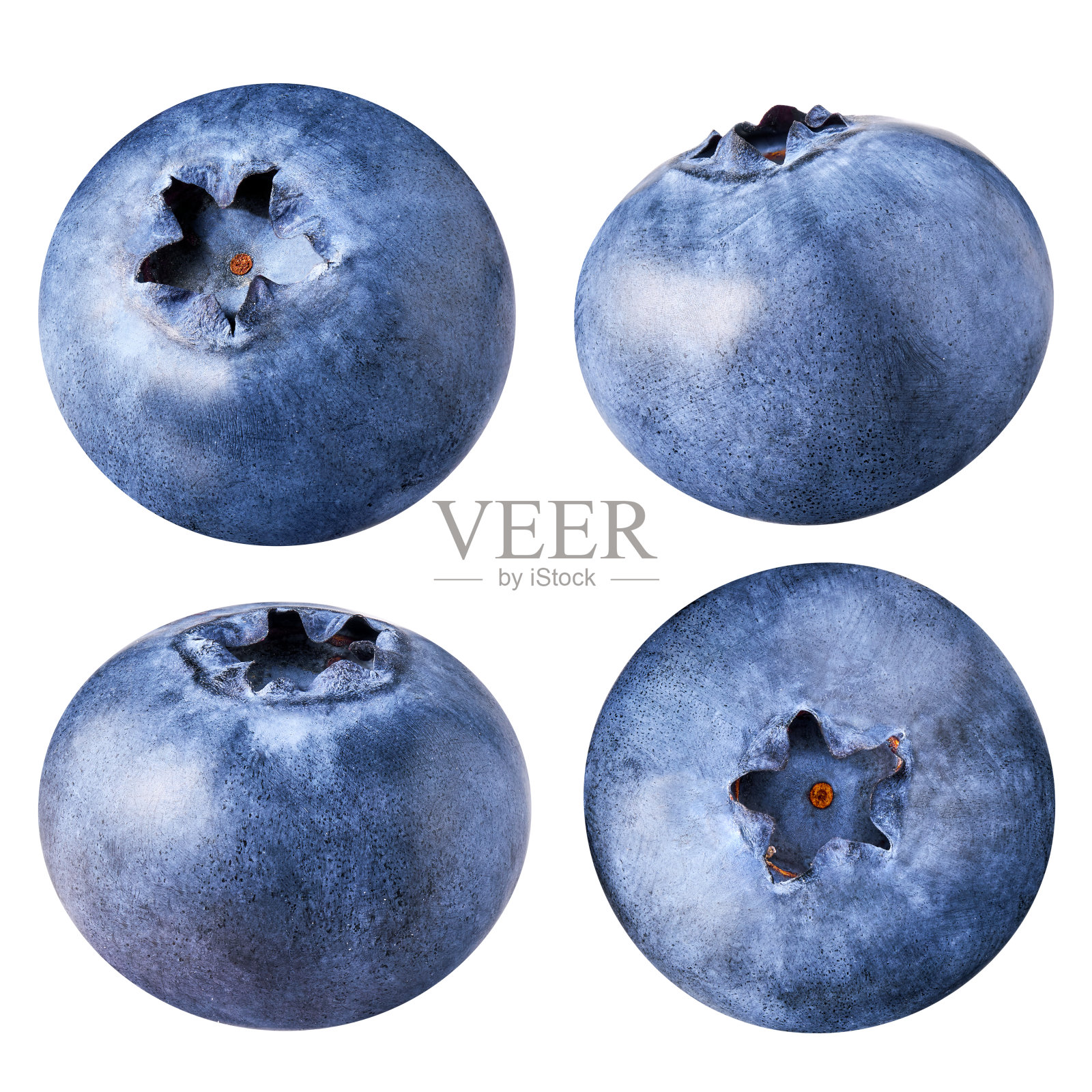 蓝莓孤立在白色背景，收集照片摄影图片