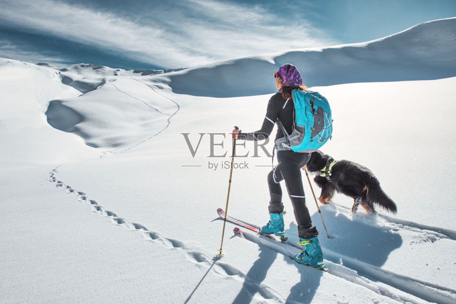 一个女人带着她心爱的狗去滑雪照片摄影图片