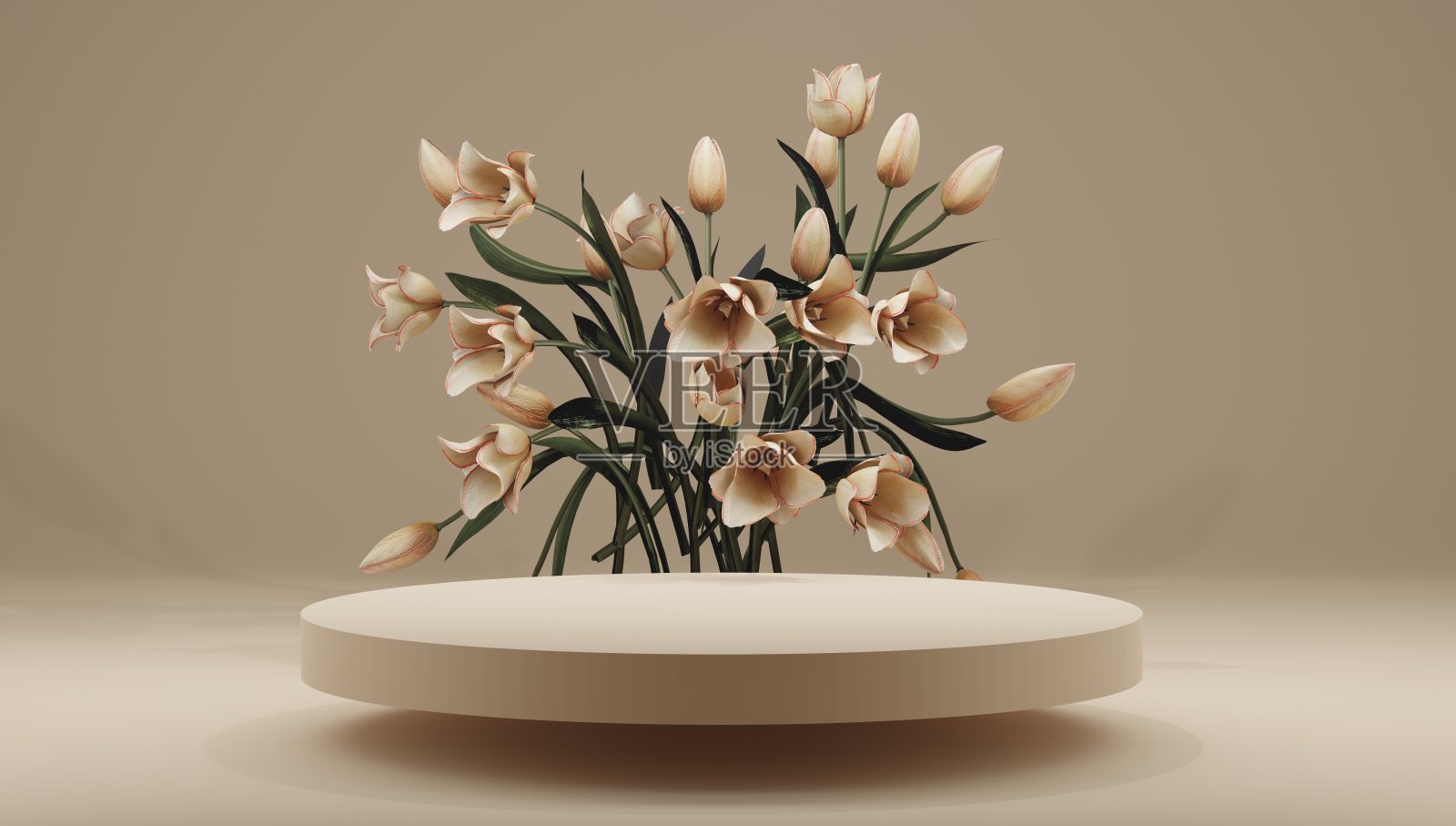 讲台，展台，橱窗上柔和的灯光，背景和鲜花。为优质产品与天然植物，树叶。3 d渲染。照片摄影图片