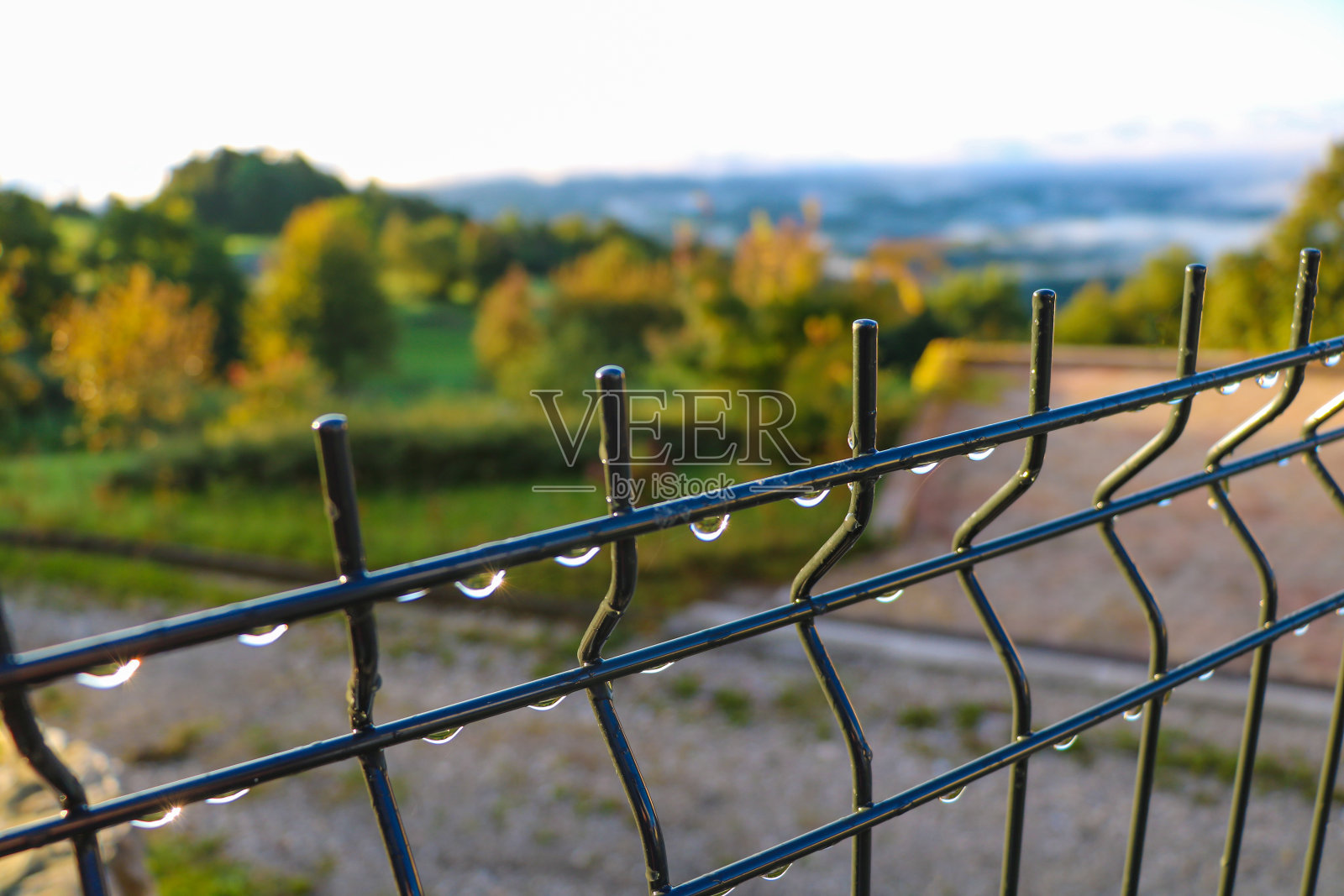 初秋的早晨，篱笆上的水珠。照片摄影图片