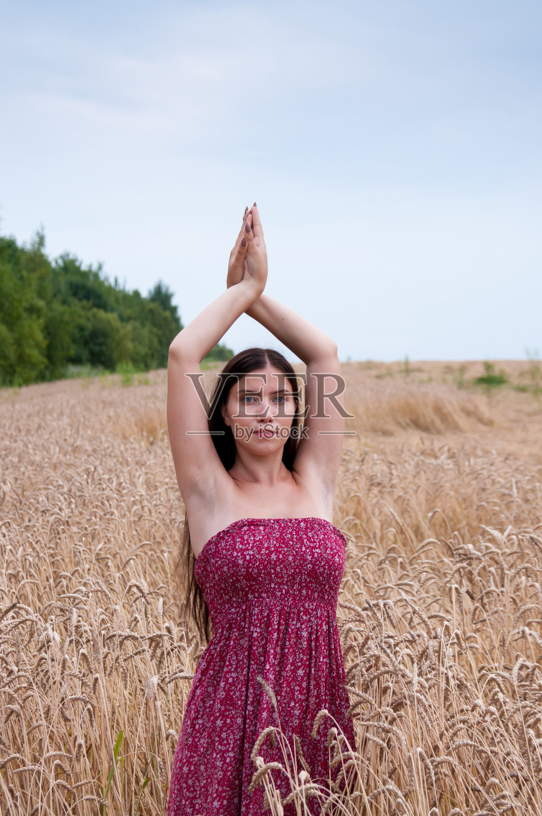 在一片长着玉米穗的地里，一个漂亮的黑发女孩把她的手举过头顶照片摄影图片