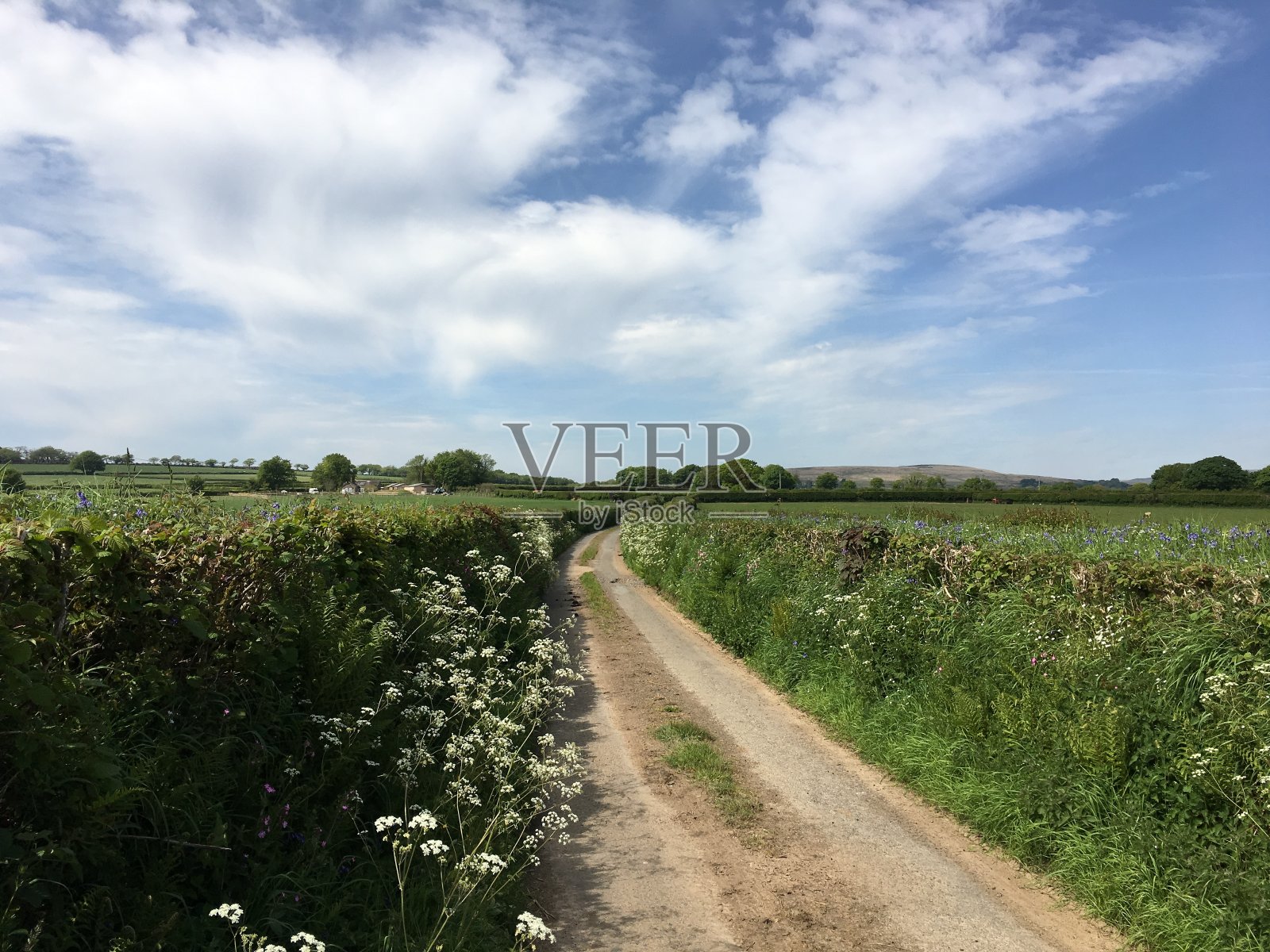 康沃尔郡乡村照片摄影图片