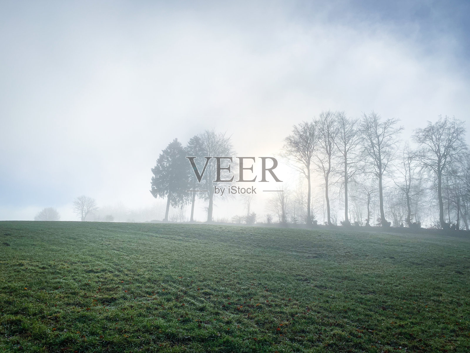 索内瑙夫冈照片摄影图片