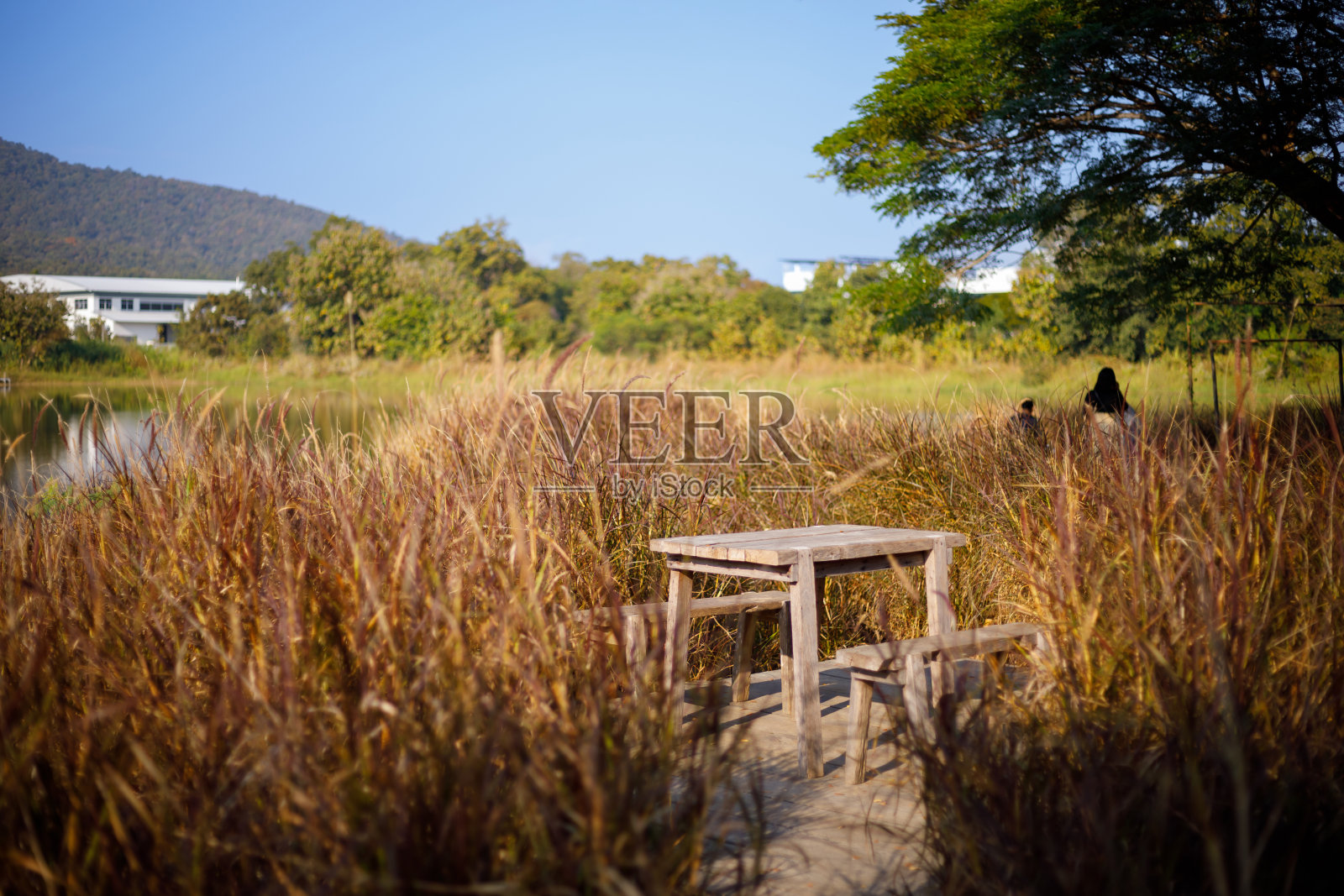 桌子和椅子在花的草地上照片摄影图片