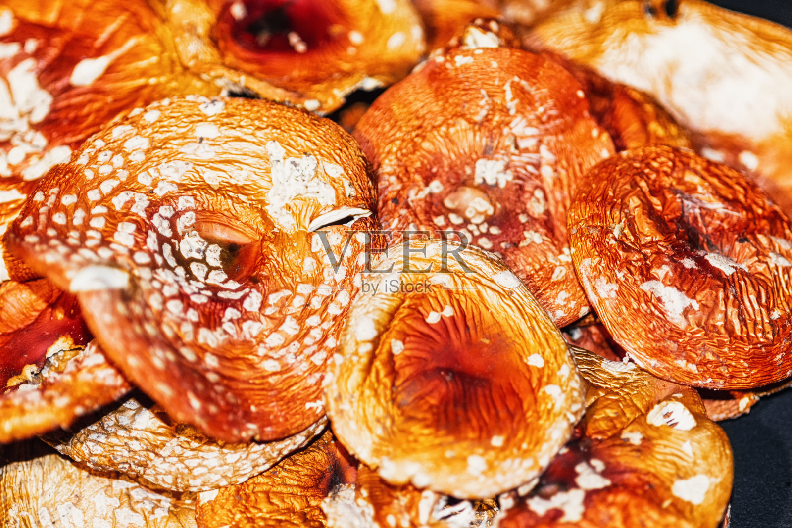 漂亮亮丽的干帽蘑菇红蝇木耳照片摄影图片