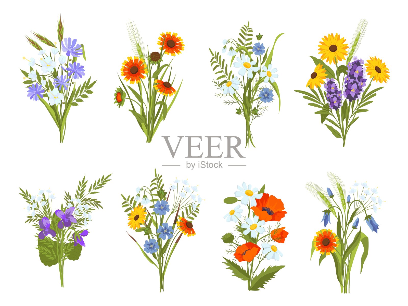 花束与花园和草地上的野花和香草。美丽的夏季田野野花，雏菊，向日葵和罂粟向量集插画图片素材