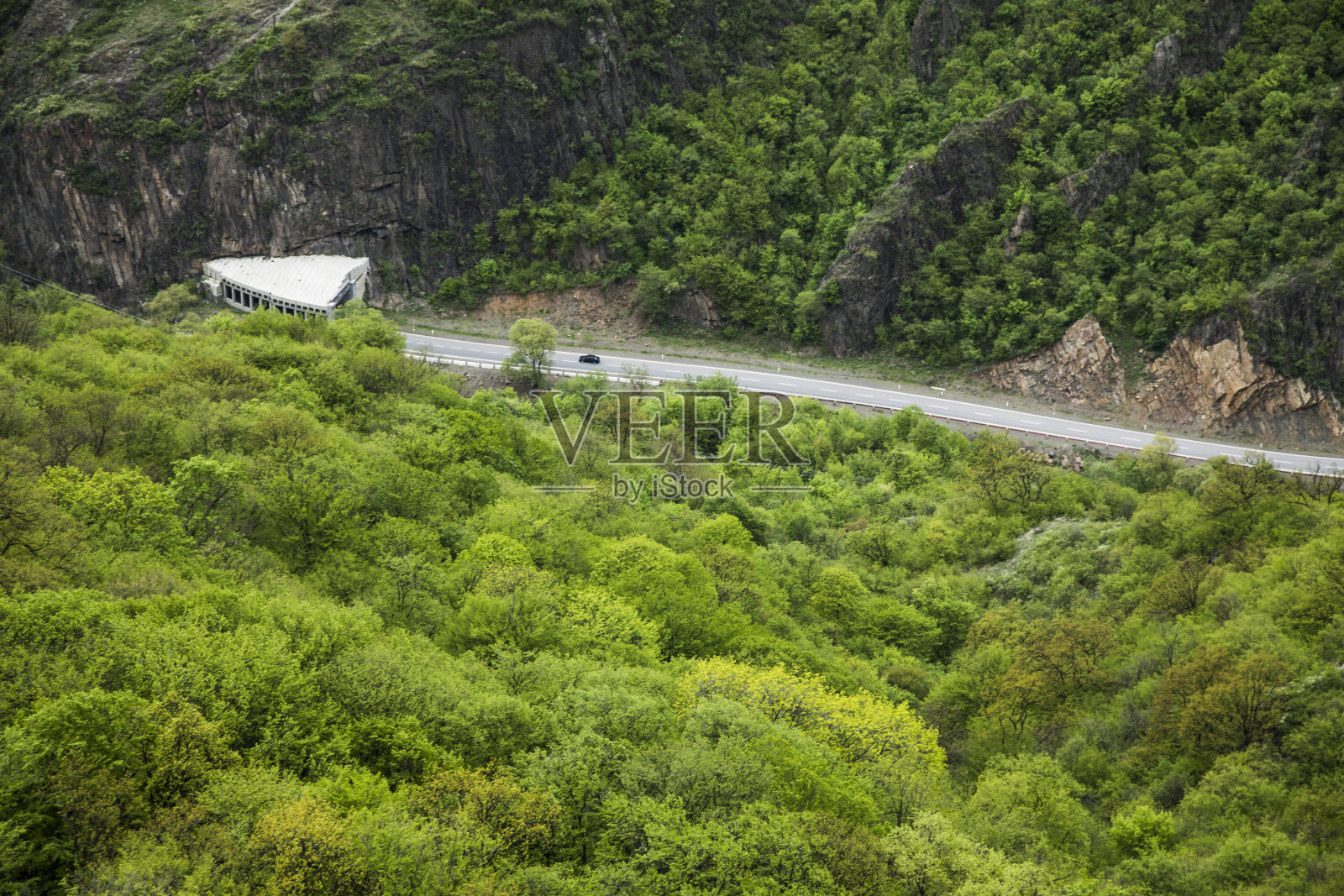这条路穿过森林照片摄影图片