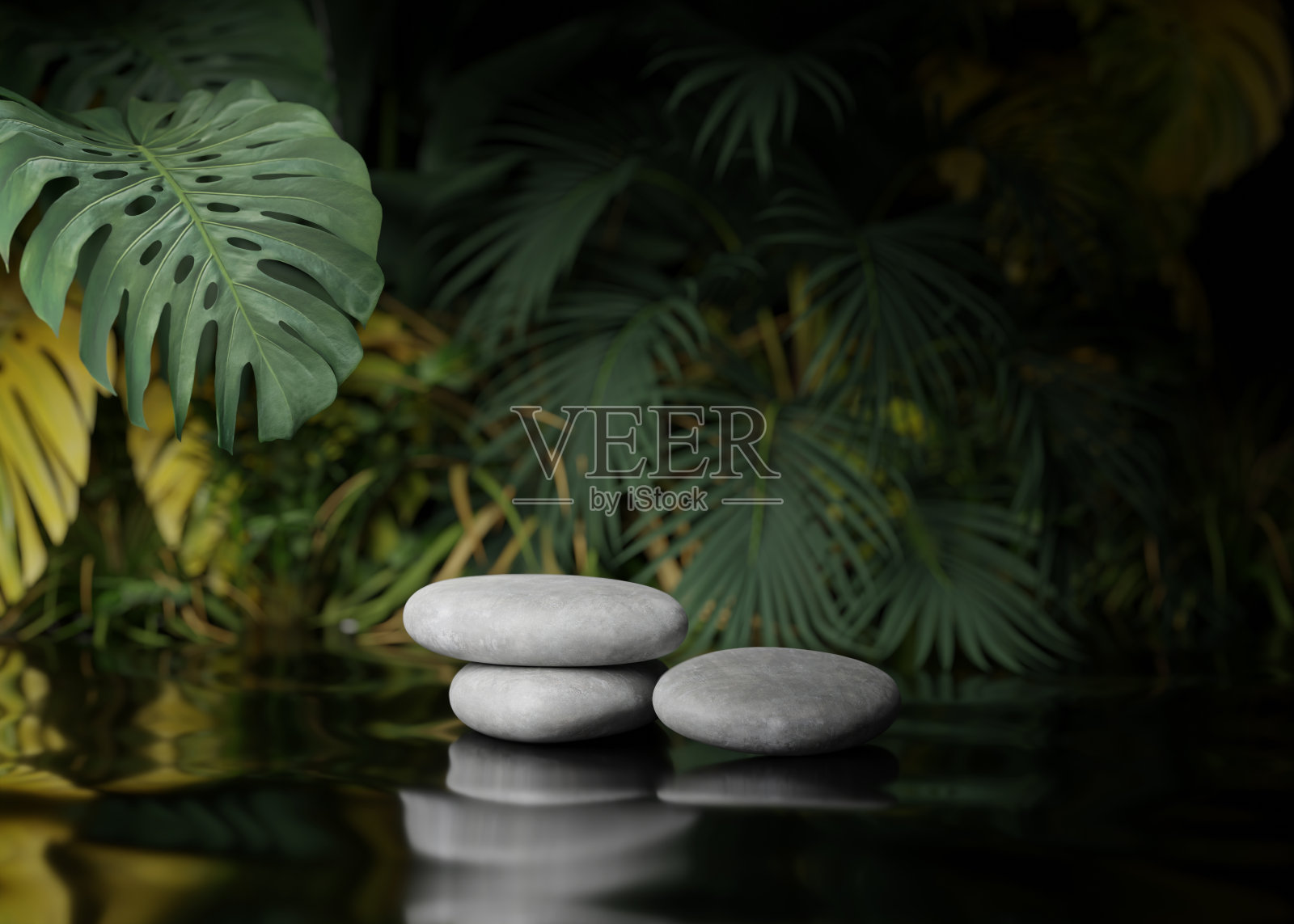 3D平台，石材展示集。丛林，怪兽棕榈叶。自然黑色背景。化妆品、美容产品促销模型。卵石基座。灰色时尚异国情调，3D渲染插图。照片摄影图片