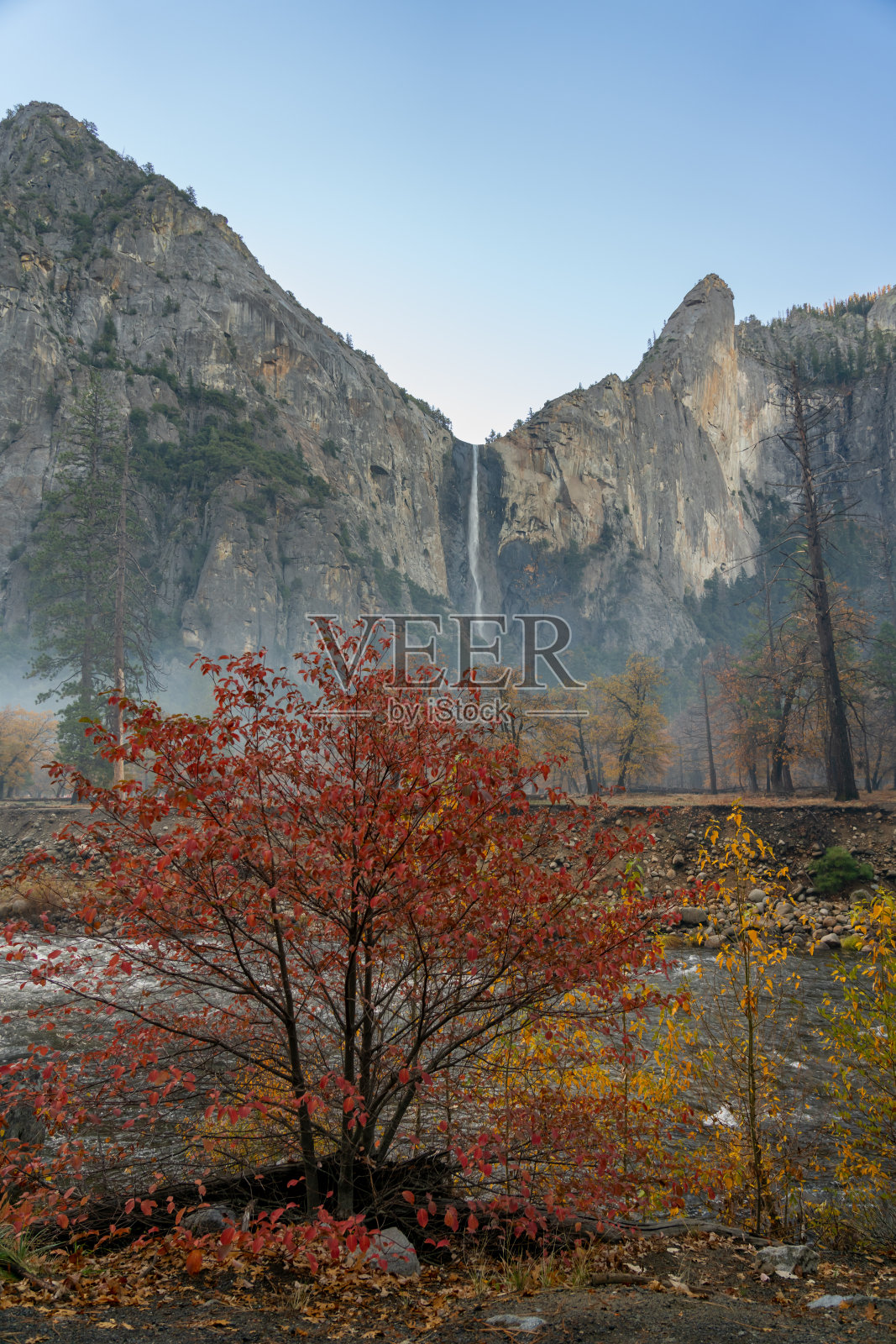 秋季红叶丛的特写，以约塞米蒂瀑布为背景照片摄影图片