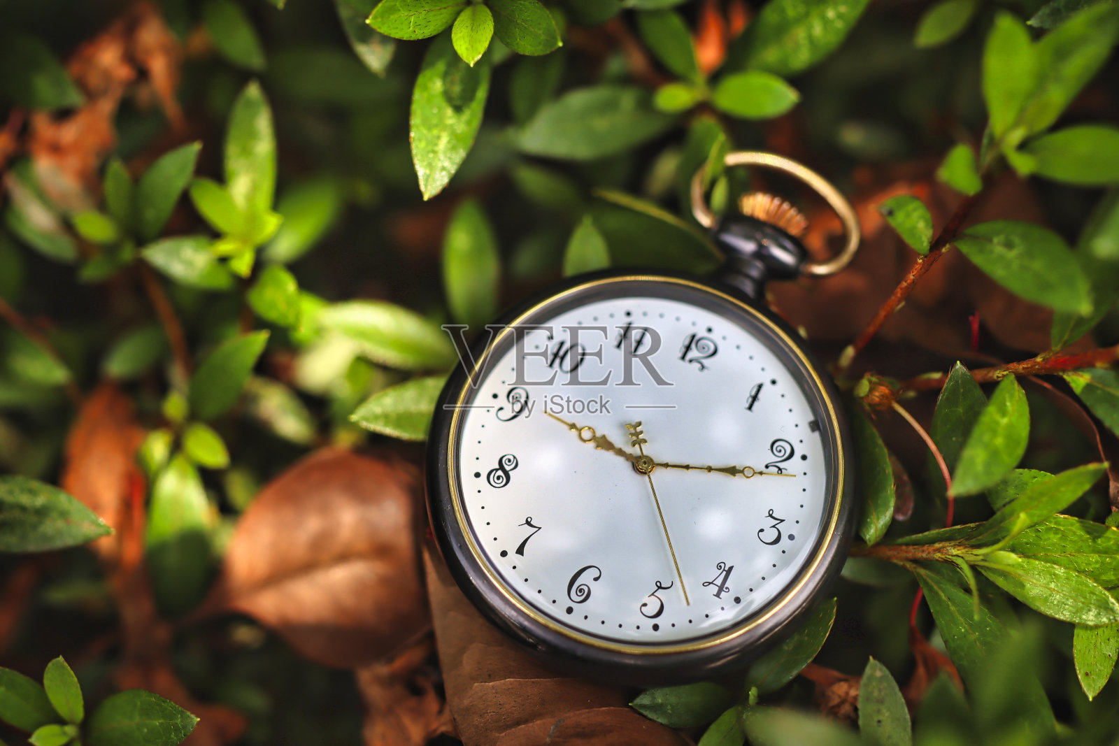 老式怀表摄影照片摄影图片