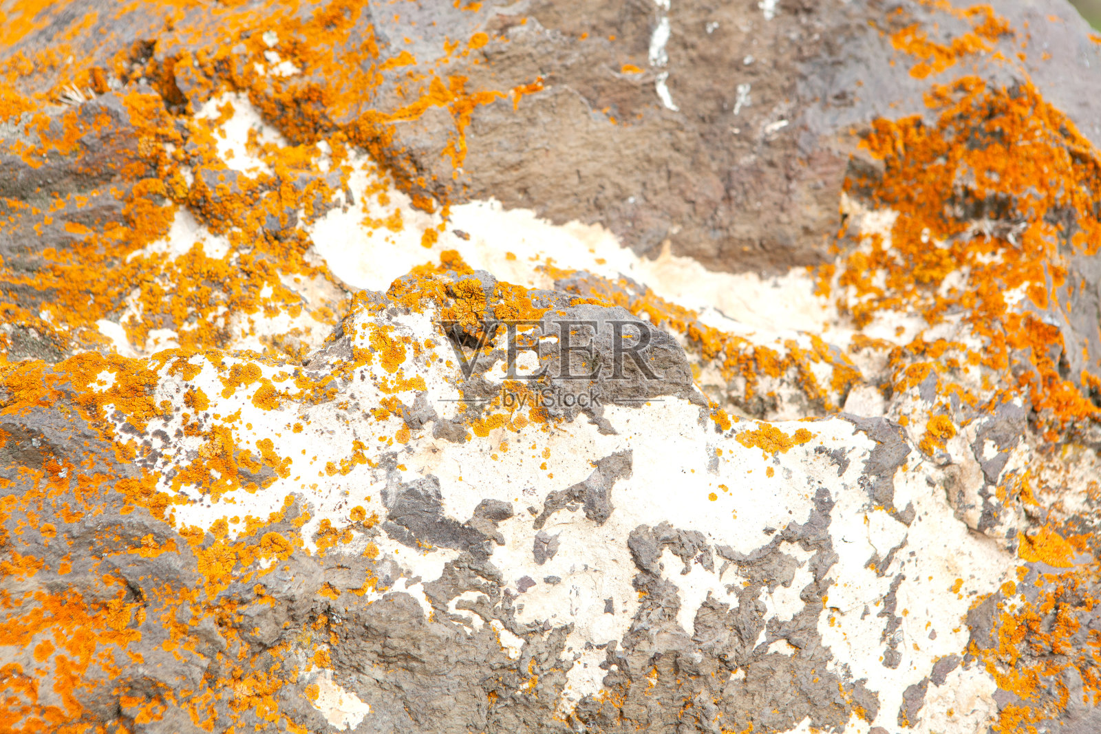 石头上生锈的苔藓照片摄影图片