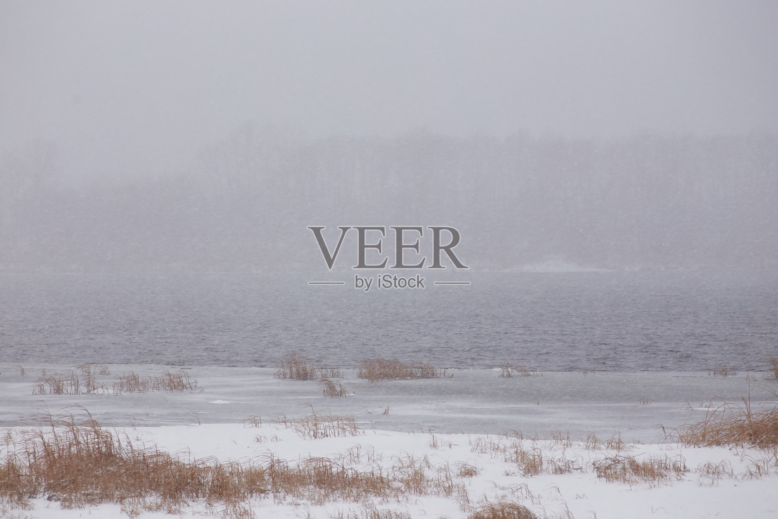 在暴风雪期间，有灌木和高山的田野照片摄影图片