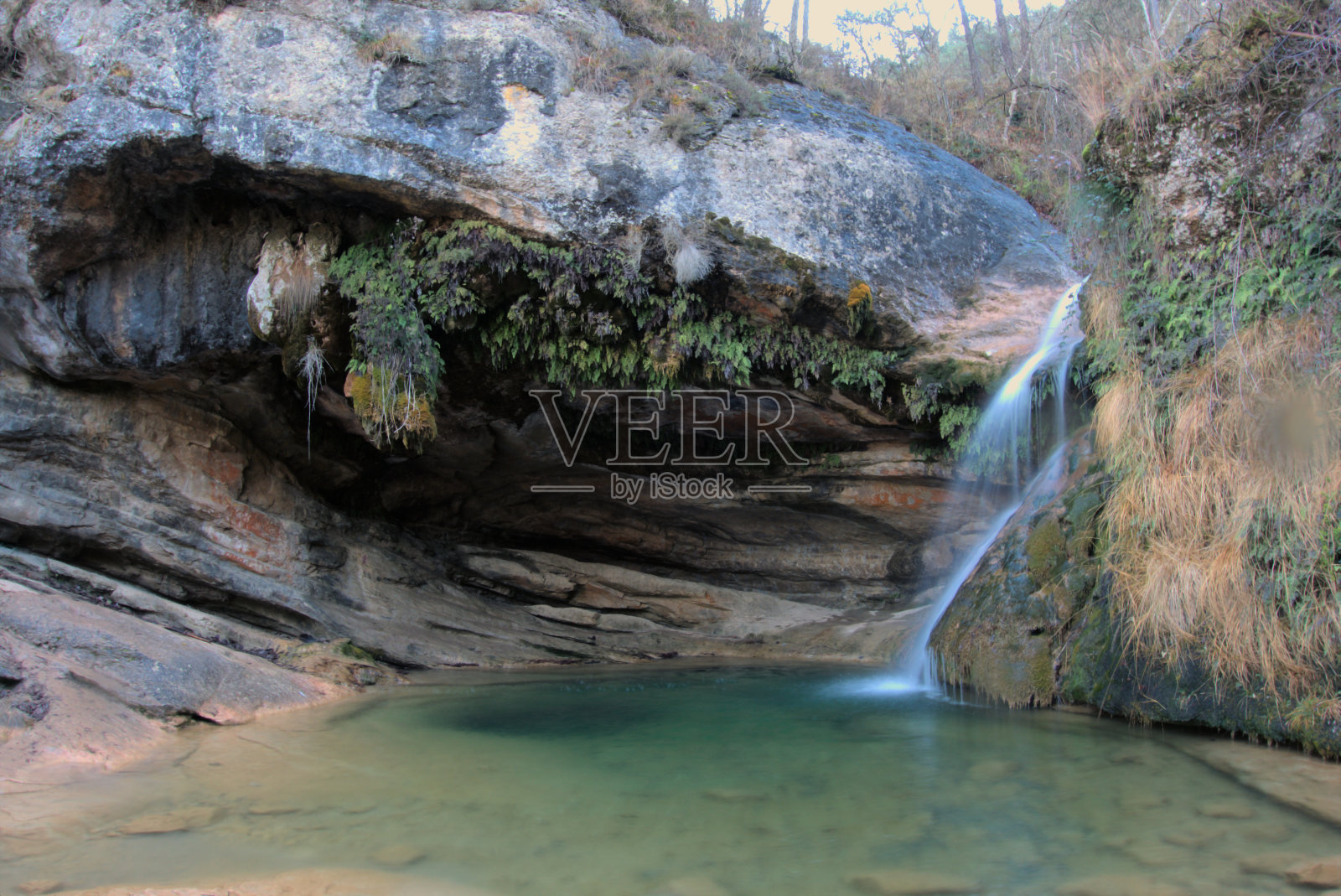 来自Bauma的Gorg照片摄影图片