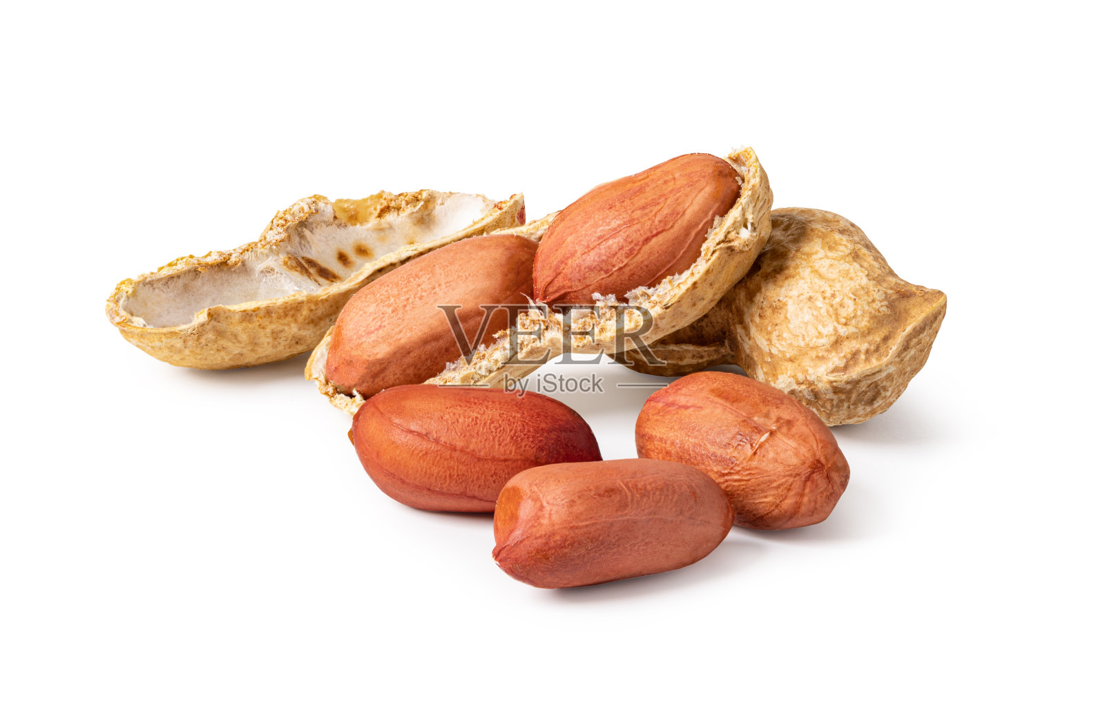 白色花生照片摄影图片