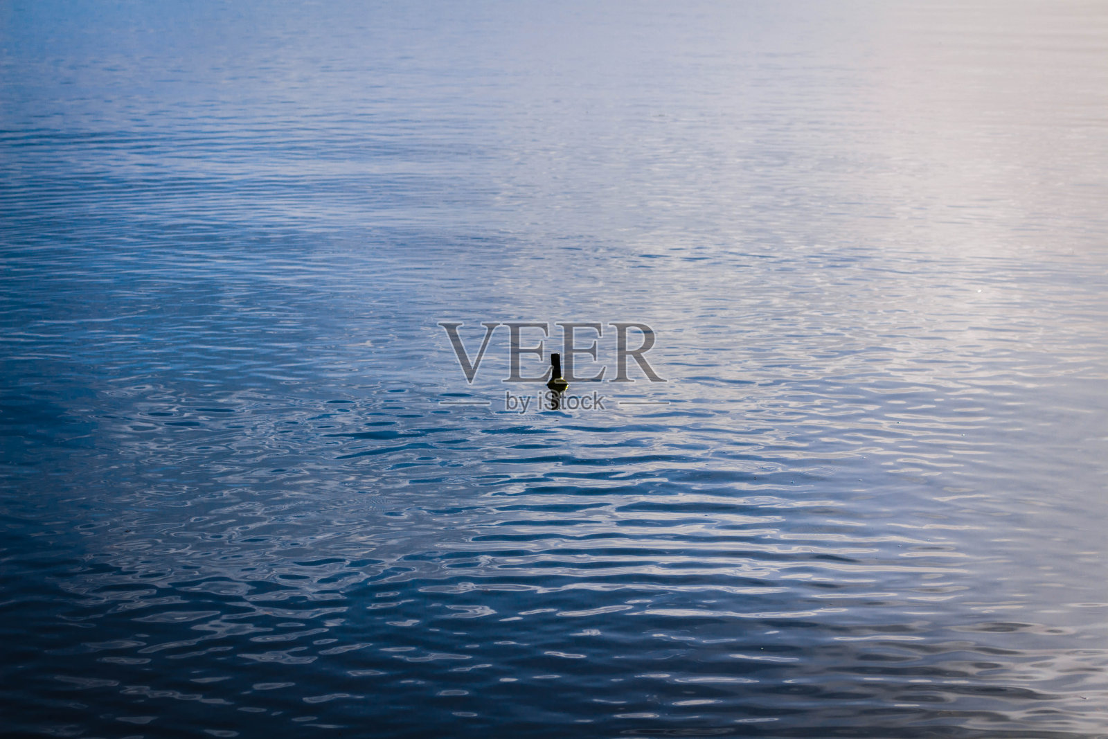 海洋污染。照片摄影图片