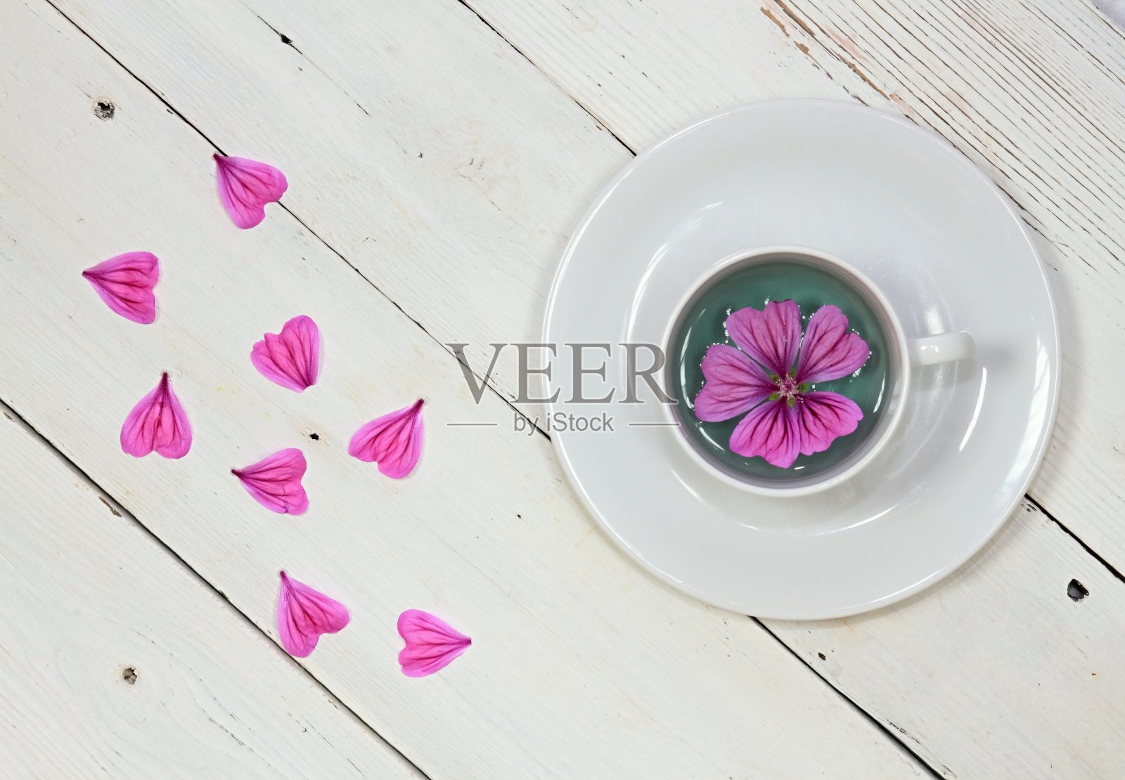 用新鲜的野锦葵制成的草本茶。锦葵的抗旱性照片摄影图片