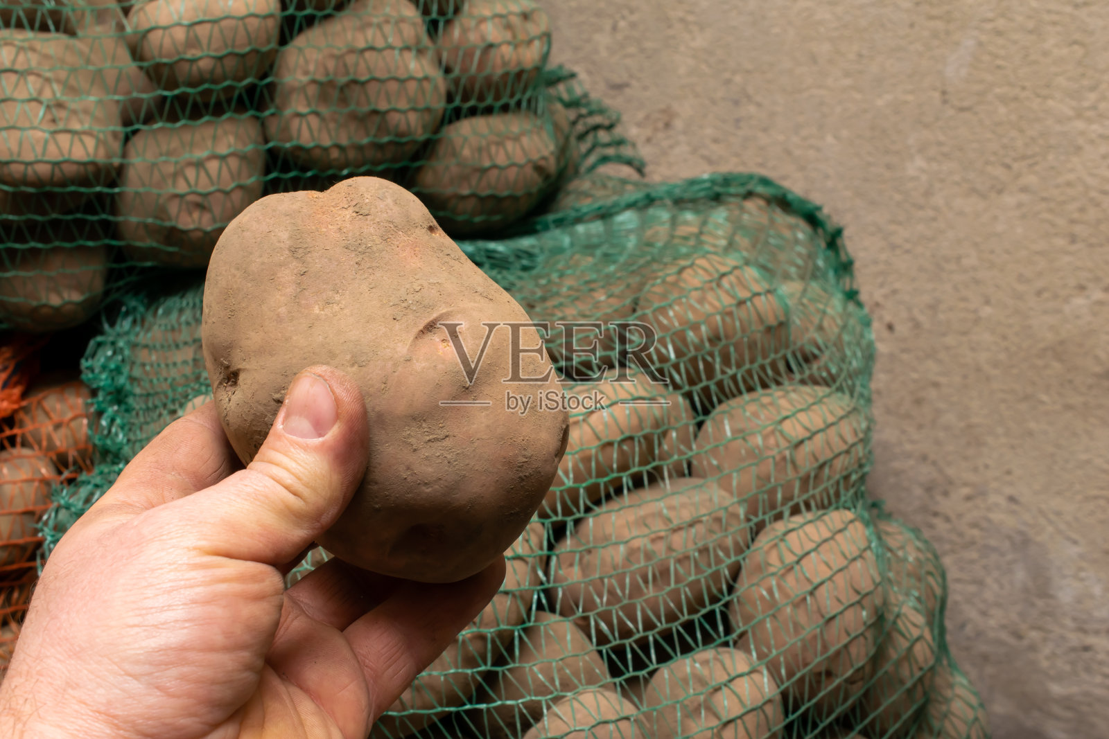 手里拿土豆，过冬补给品照片摄影图片