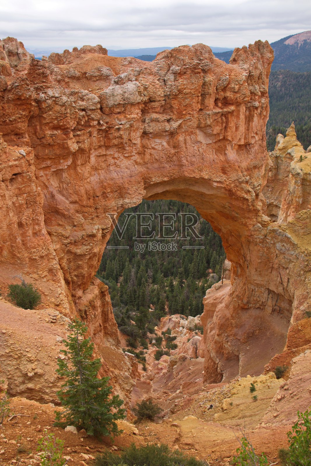 位于美国犹他州布莱斯峡谷彩虹点路线的天然大桥照片摄影图片