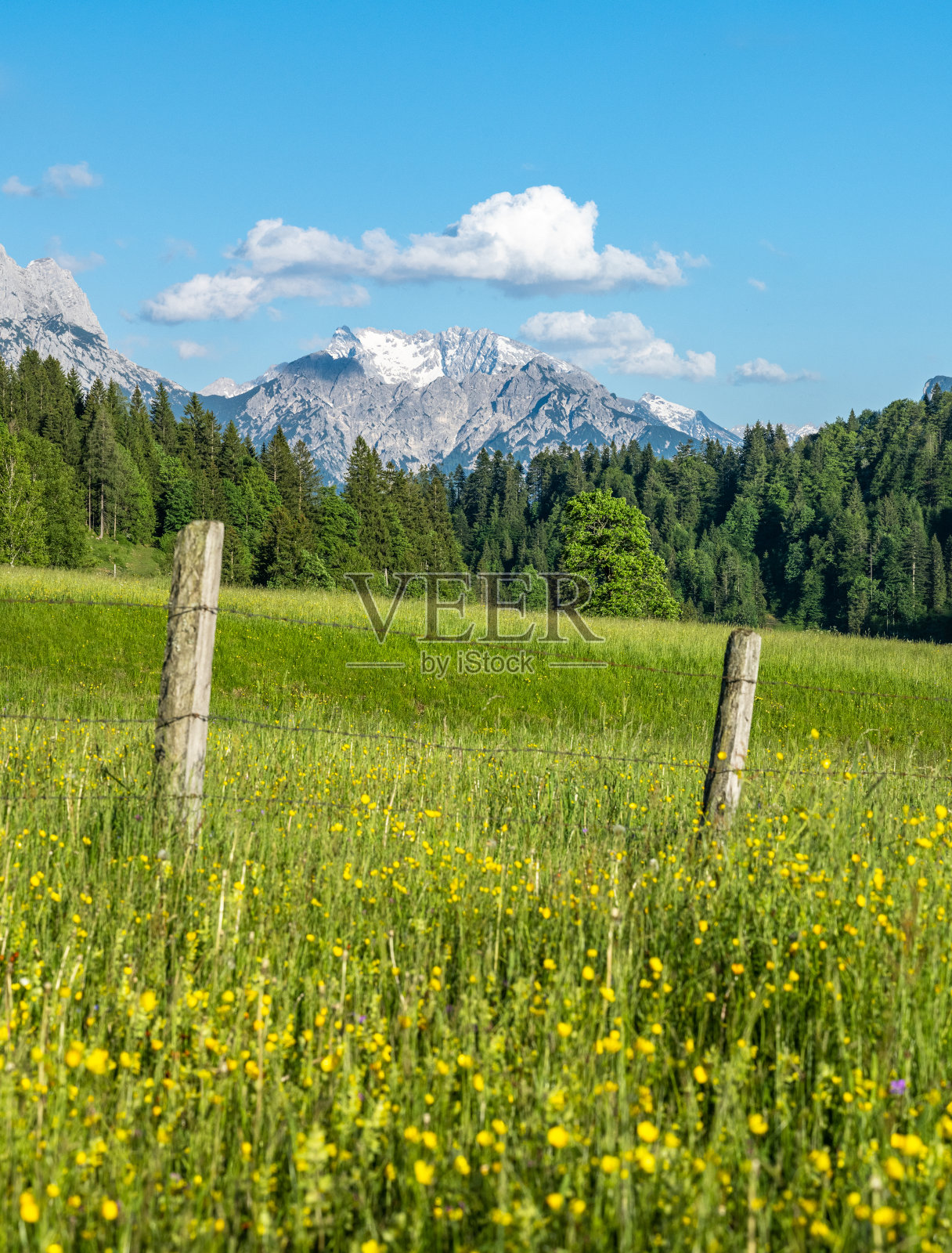 田园诗般的夏季草地与山脉的背景，Heutal, Unken, Pinzgau，萨尔茨堡土地，奥地利照片摄影图片