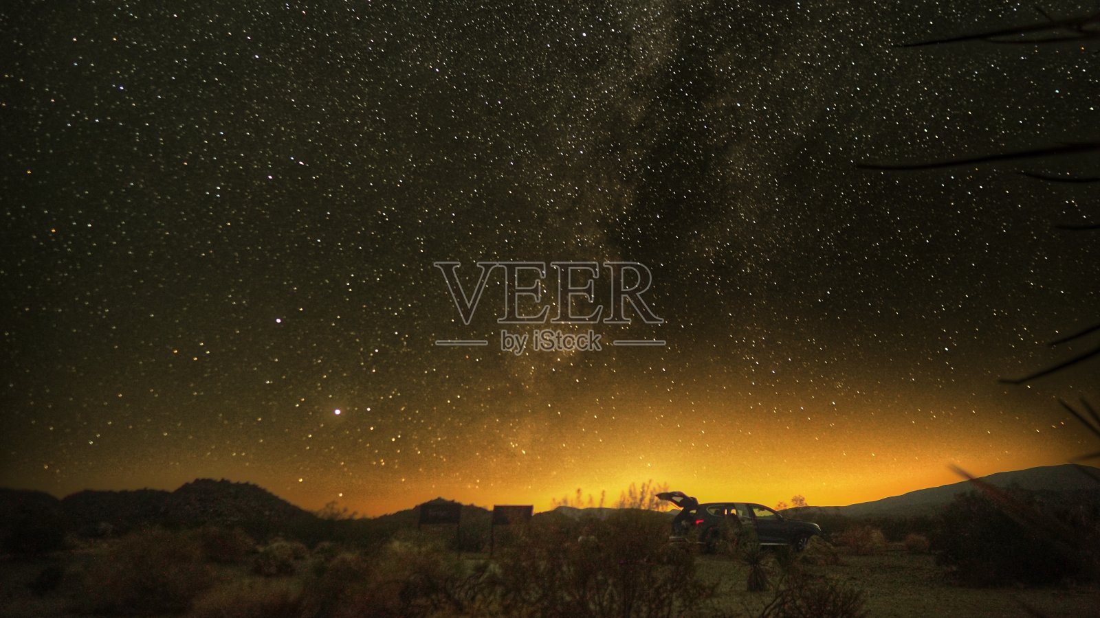 阿斯特罗在约书亚树照片摄影图片